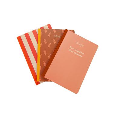 Set de 3 libretas Mr Wonderful
