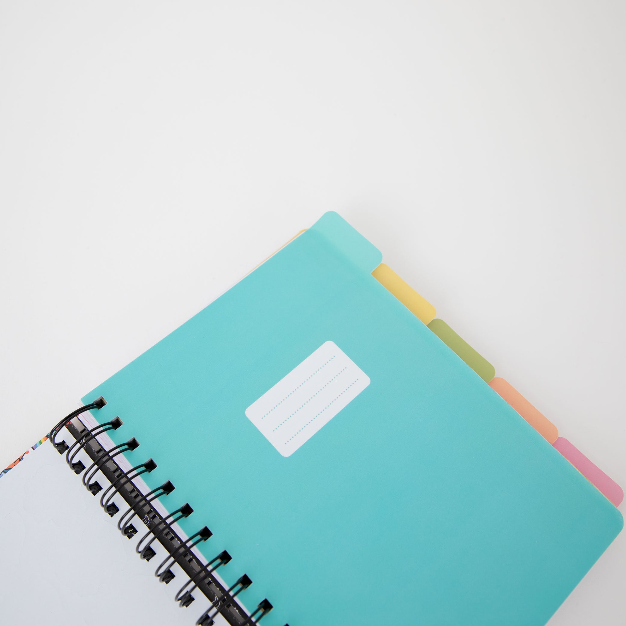 Caderno A5 com divisórias - Personagens Wonder