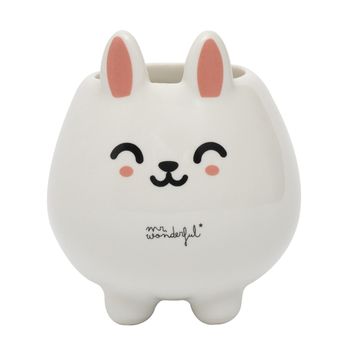 Rabbit Mr Wonderful