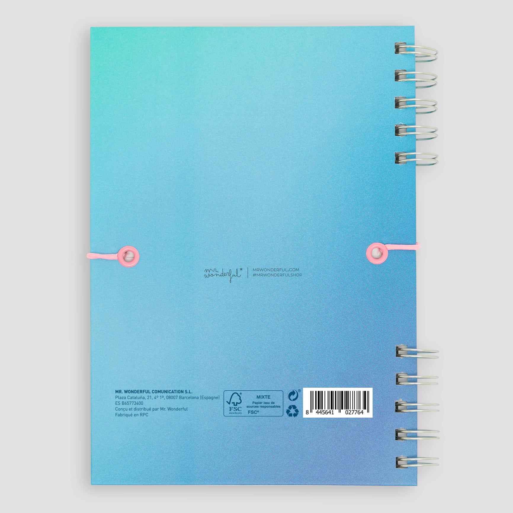 Cahier A5 bleu - Tout ce que vous allez respecter 