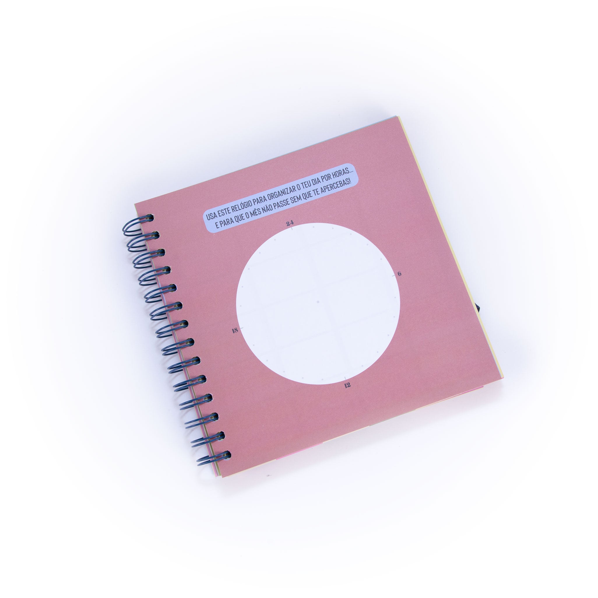 Organizador de estudos – Curso nota 20? Presente!