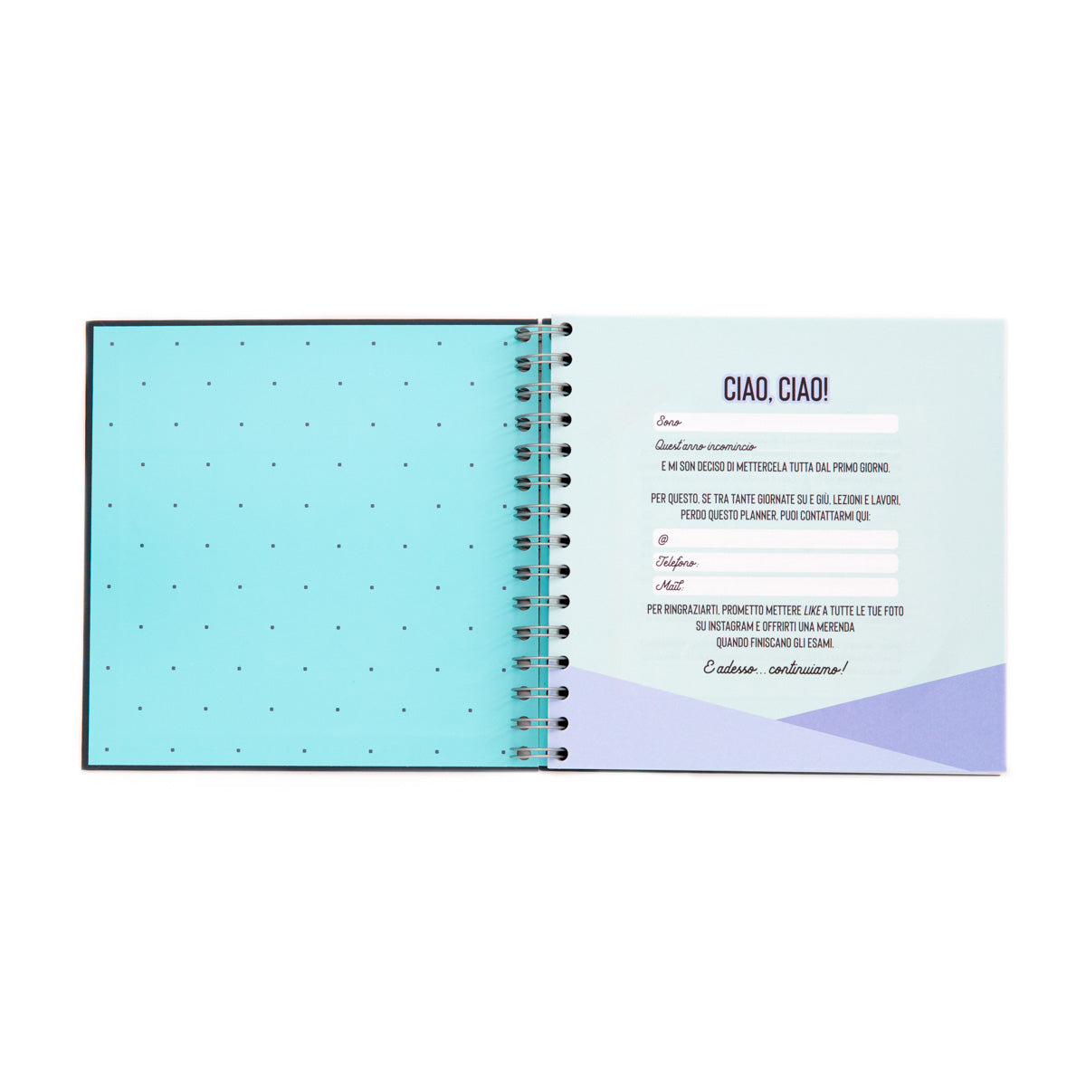 Planner studio - Lasciatemi passare sto per triunfare