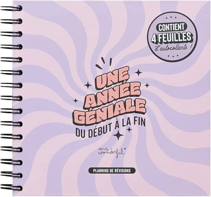 Planning de révisions en français Mr. Wonderful - Une année géniale du début à la fin