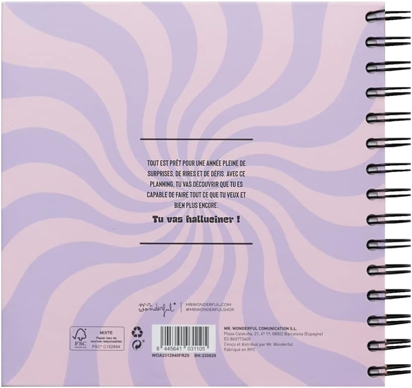 Planning de révisions - Une année géniale du début à la fin