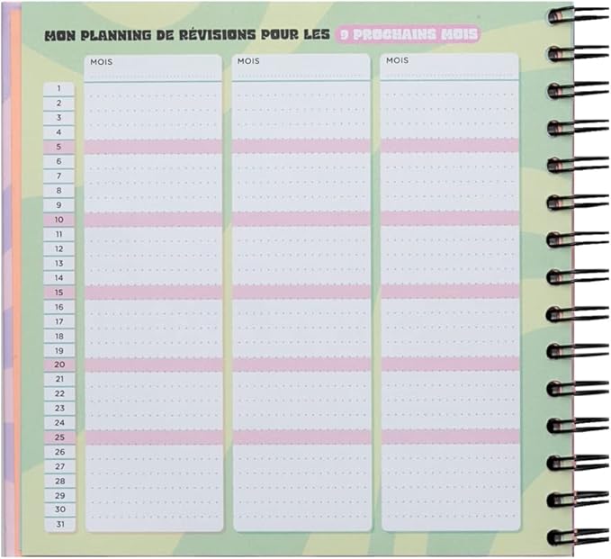 Planning de révisions - Une année géniale du début à la fin