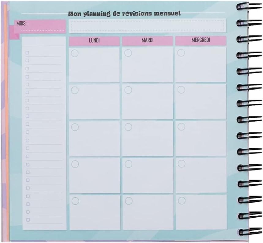 Planning de révisions - Une année géniale du début à la fin