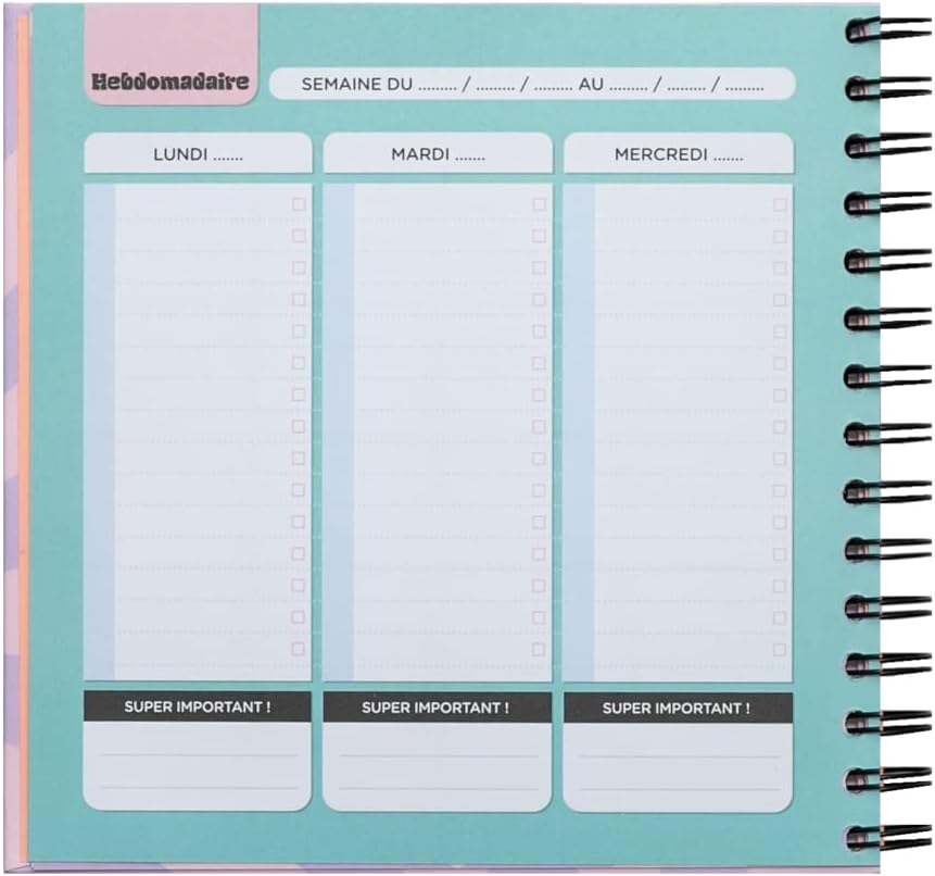 Planning de révisions - Une année géniale du début à la fin