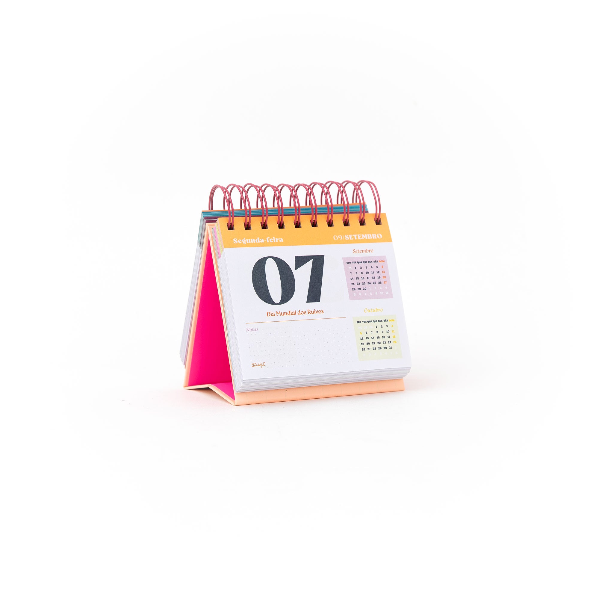Calendário de mesa diário 2026 - Hoje é o dia...