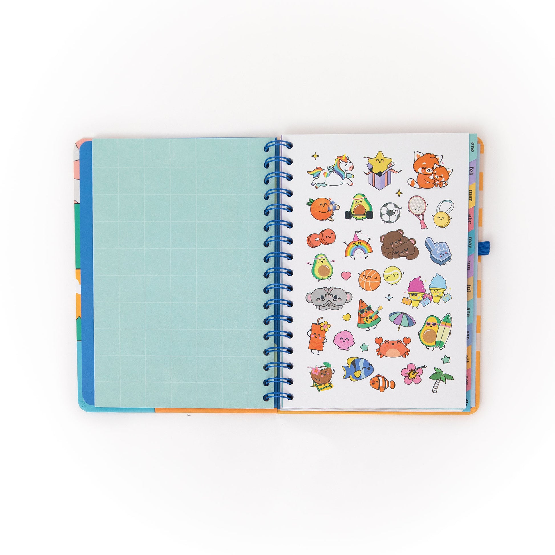 Agenda Mr. Wonderful con boli borrable Bo-Bo de regalo y pegatinas