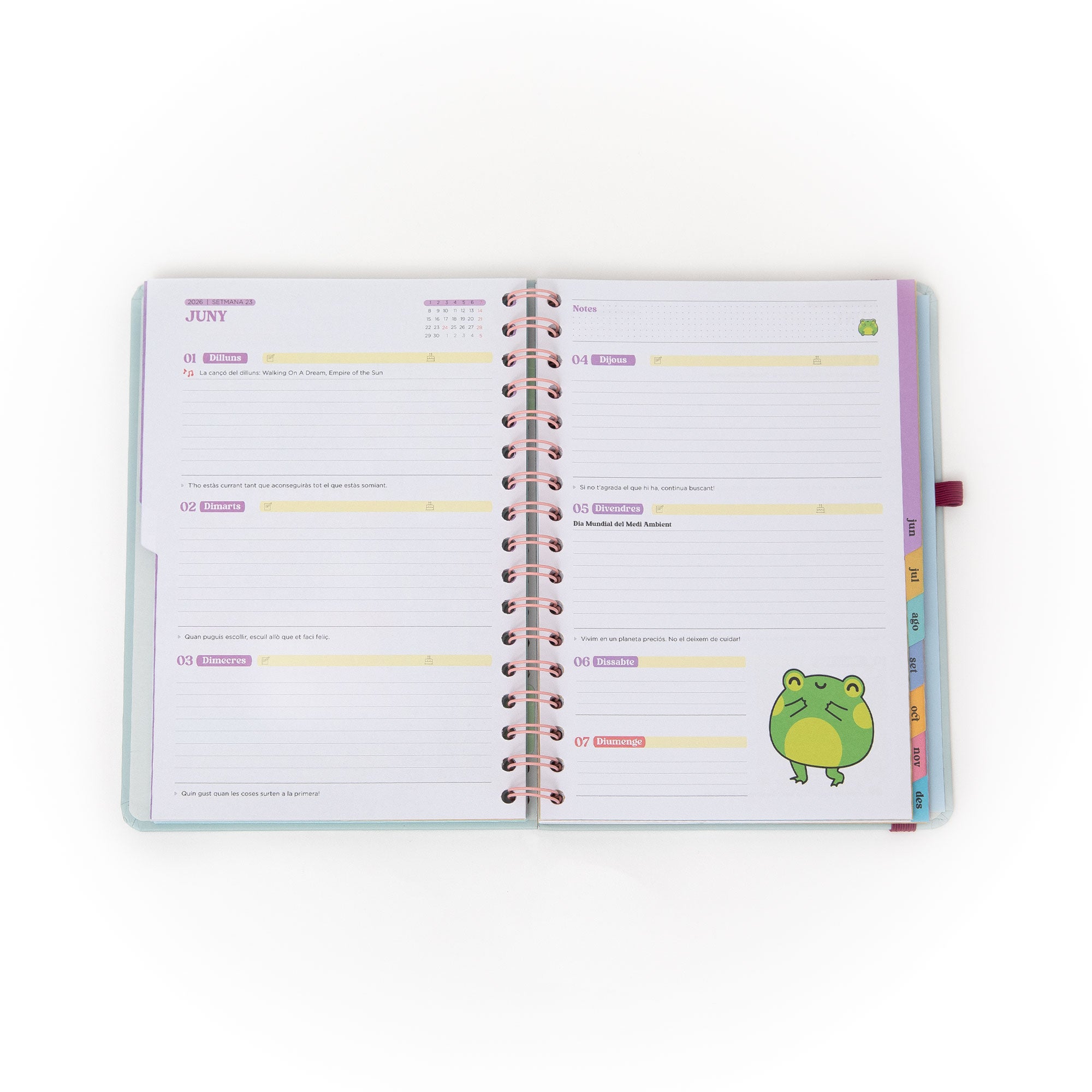Agenda 2026 setmanal de Mr. Wonderful en català
