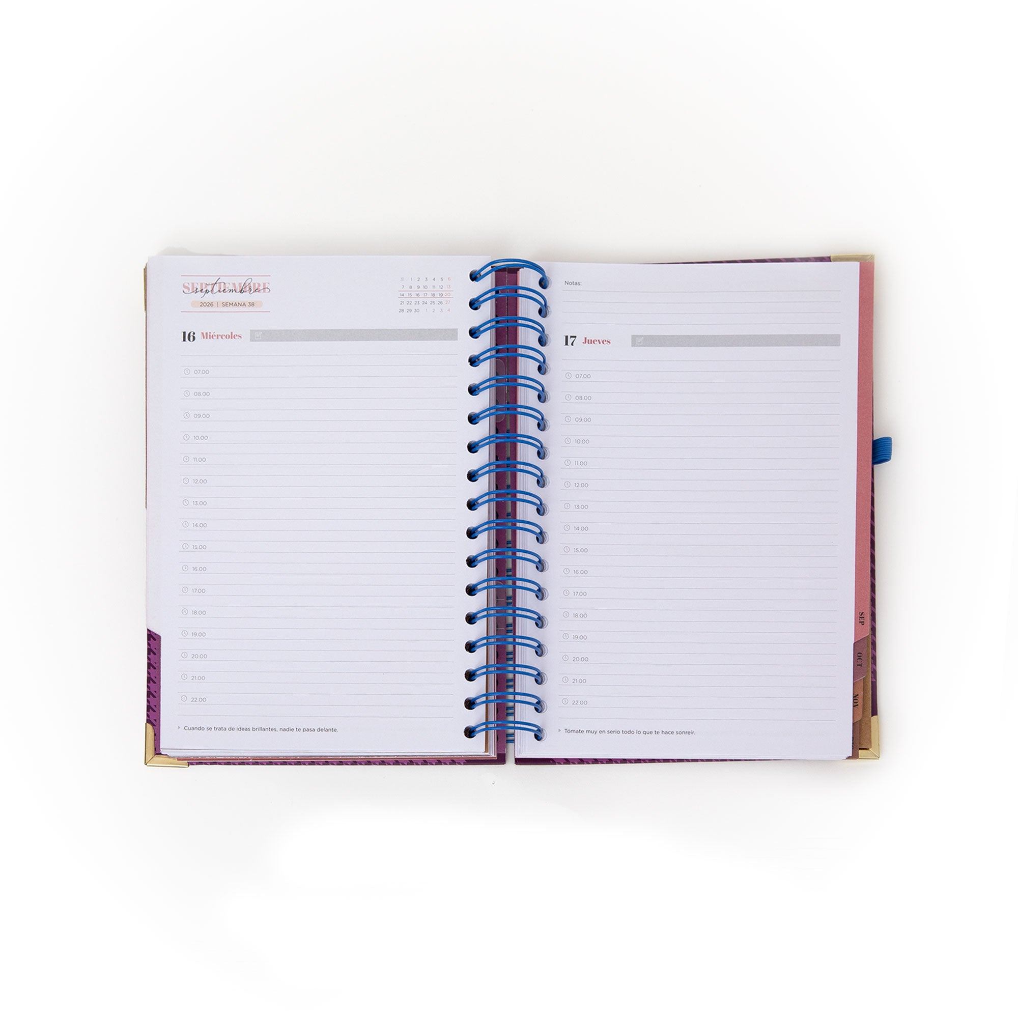 Agenda 2026 premium diaria de Mr. Wonderful