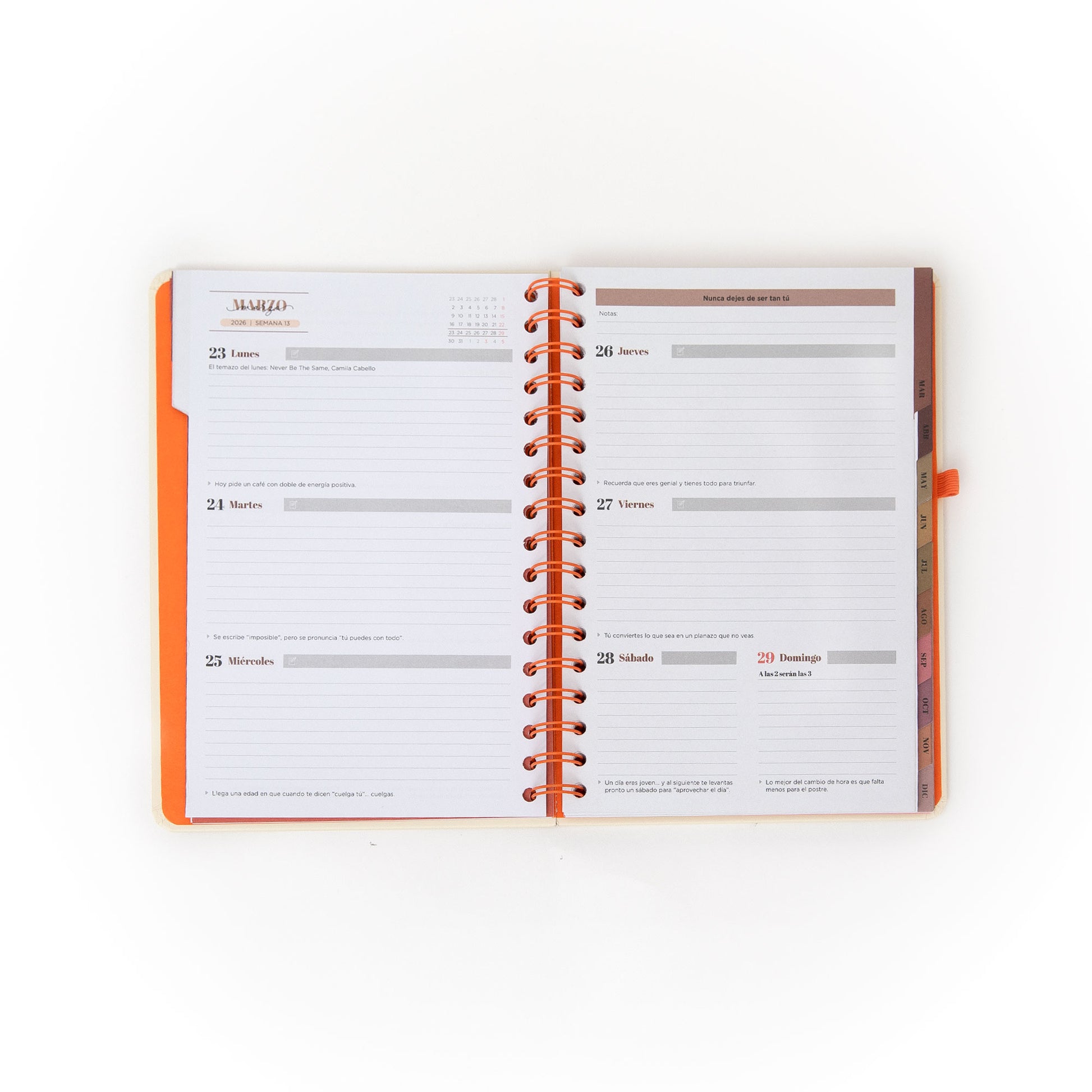 Agenda 2026 semanal de Mr. Wonderful para mujeres