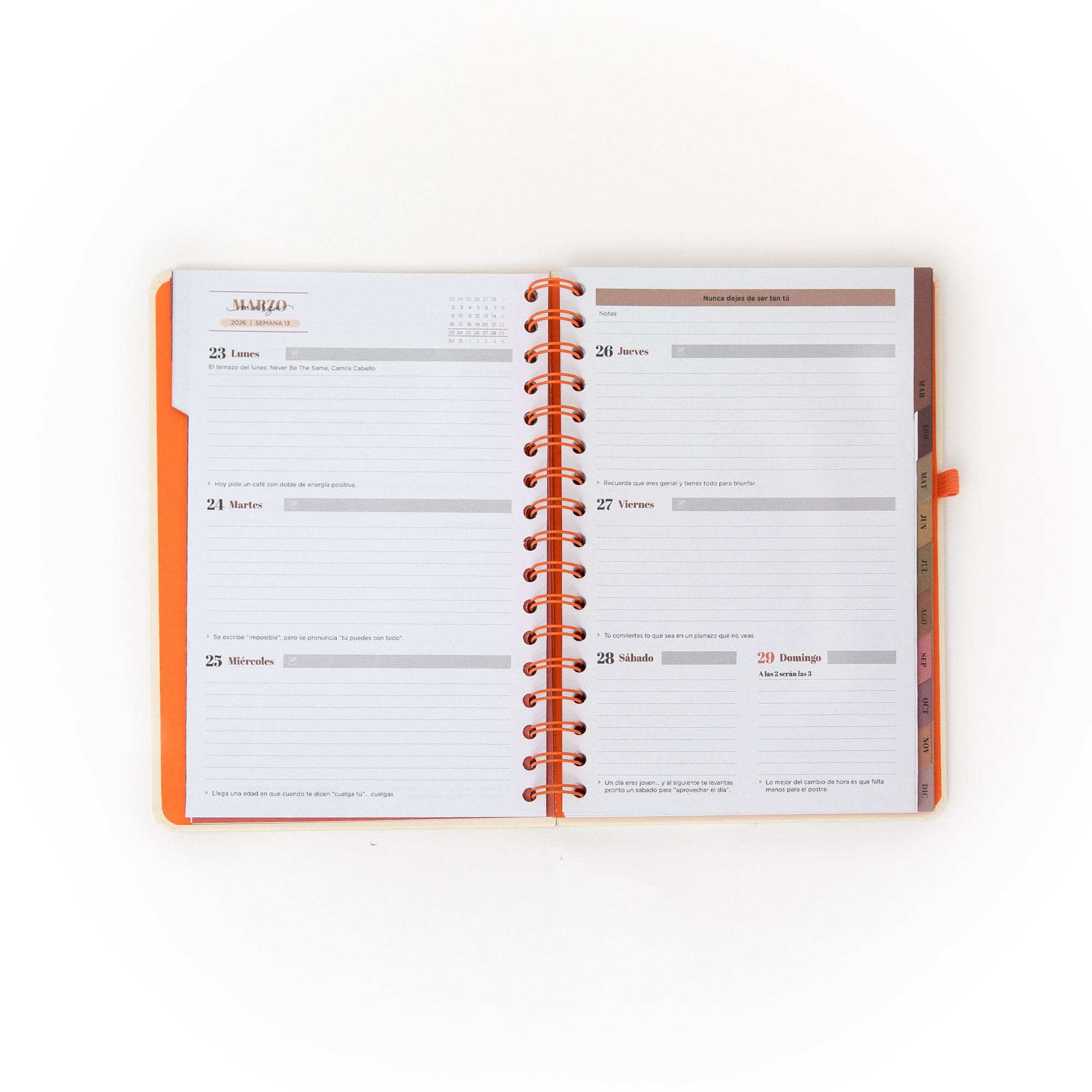 Agenda 2026 semanal de Mr. Wonderful para mujeres