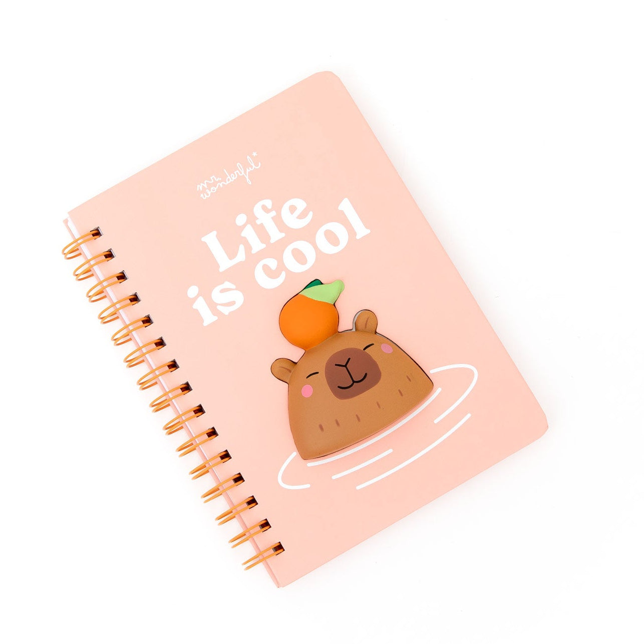 Libreta A5 3D squishy capibara - Life is cool