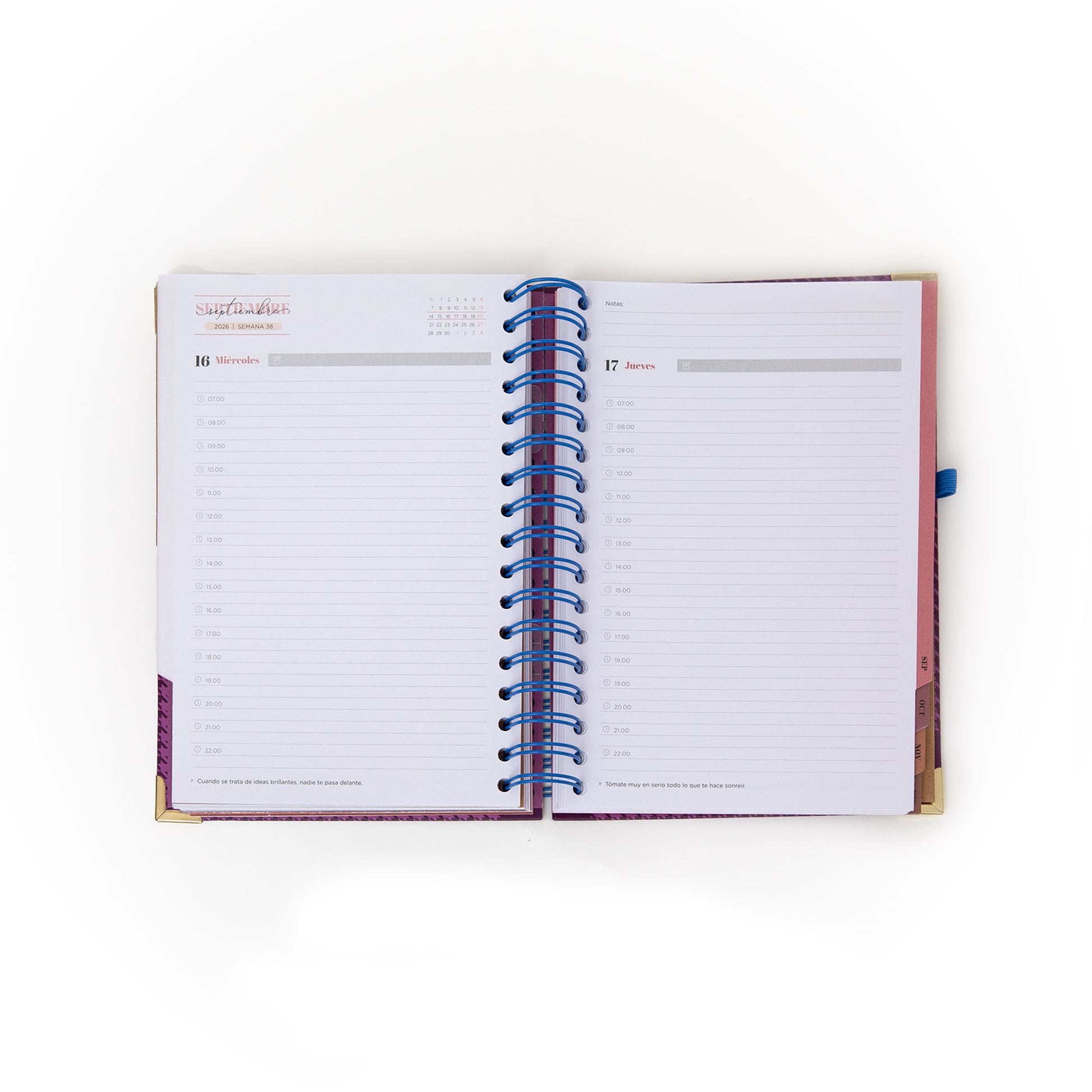 Agenda 2026 de organización diaria y diseño elegante de Mr. Wonderful