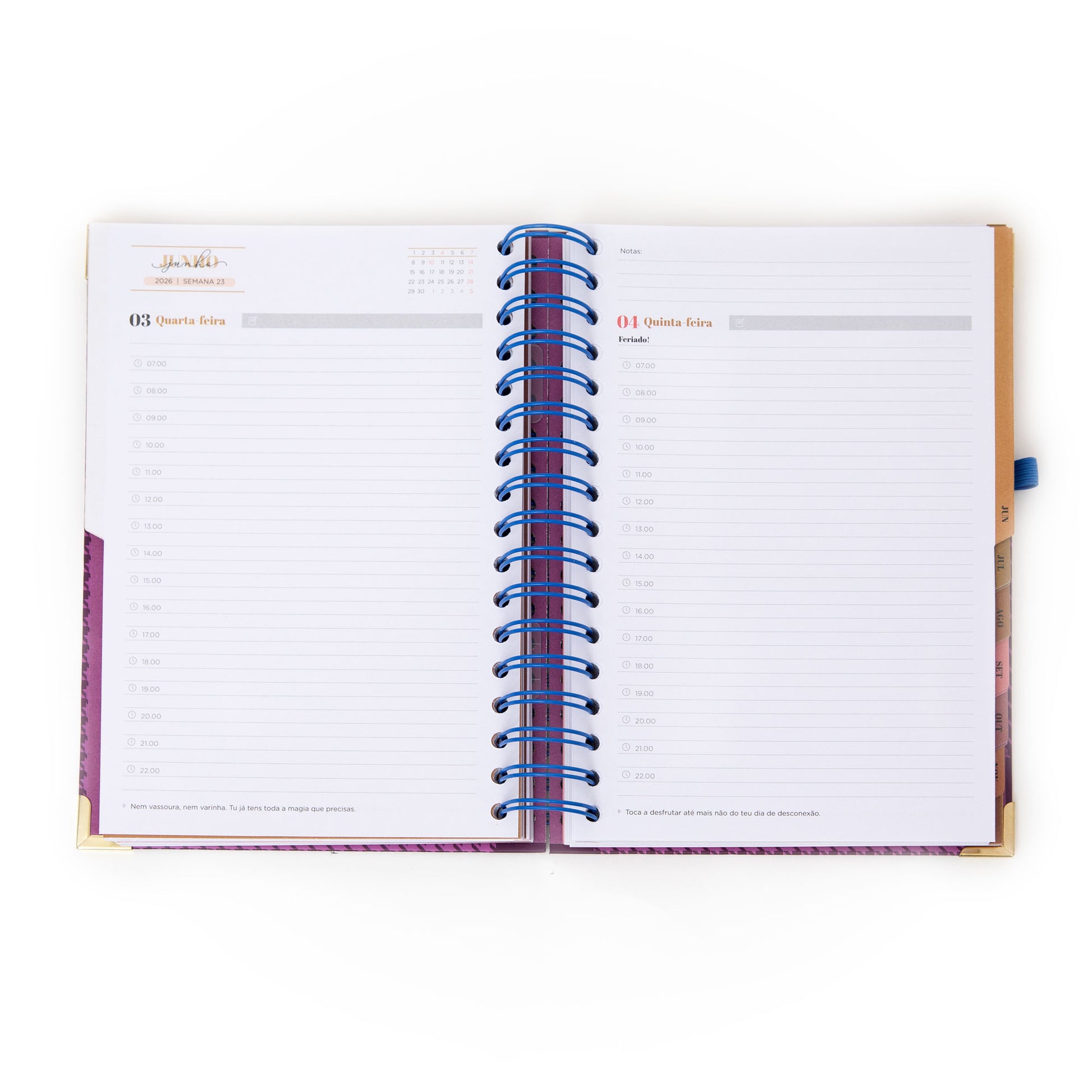 Agenda 2026 diária da Mr. Wonderful com caneta de oferta