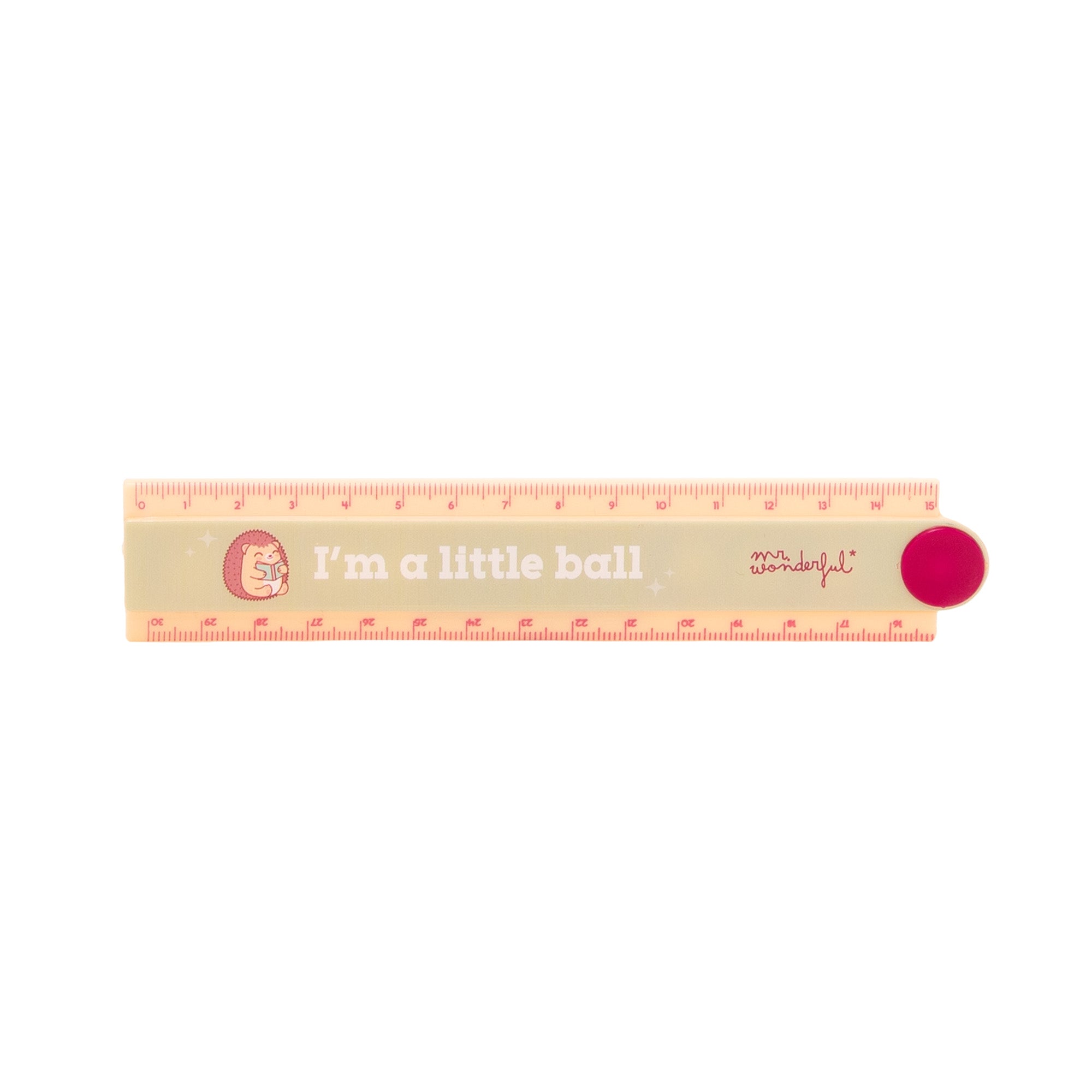 Foldable ruler 30 cm Hedgehog - I’m a little ball | Mr.Wonderful