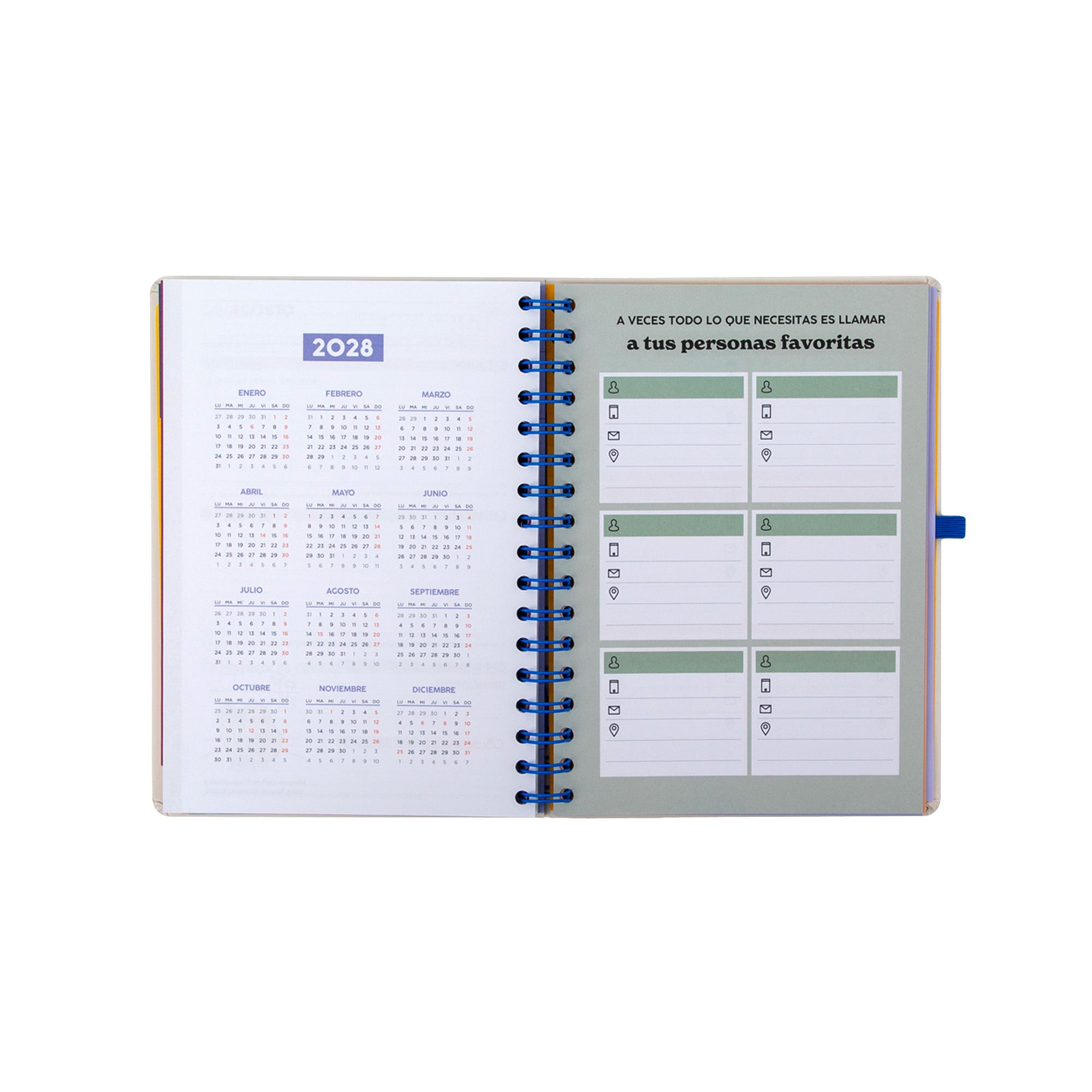 Agenda Mr. Wonderful 2026-27 Semanal - Ready