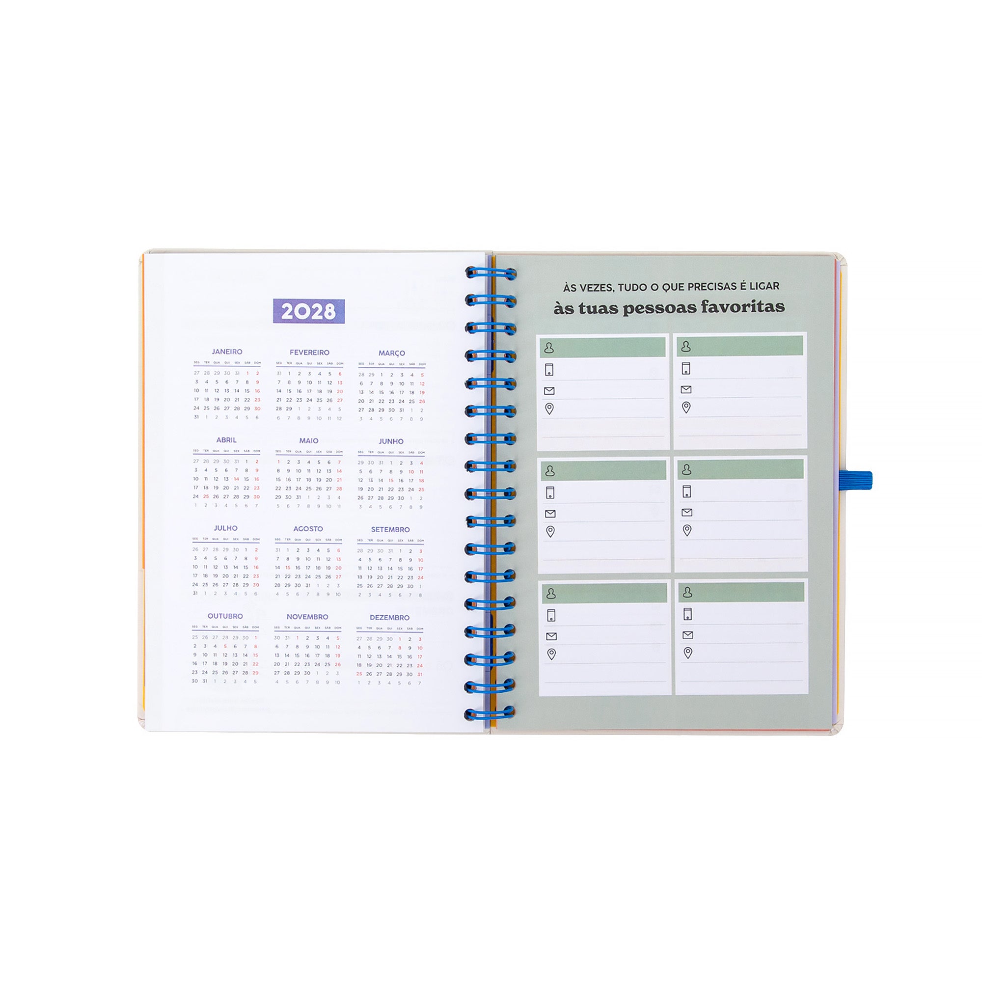 Agenda Mr. Wonderful 2026-27 Semanal - Ready