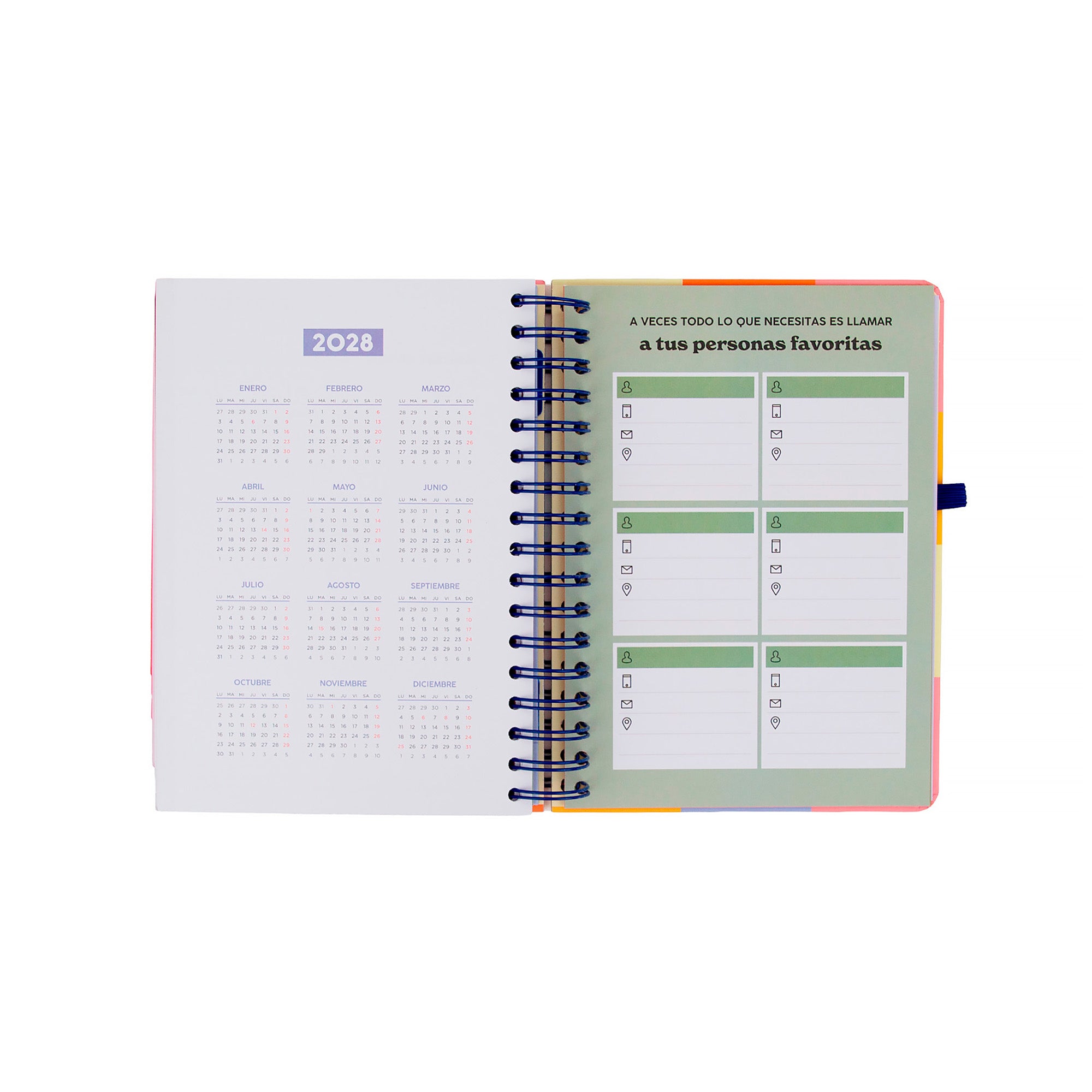 Agenda Mr. Wonderful 2026-27 Diaria - La pausa perfecta
