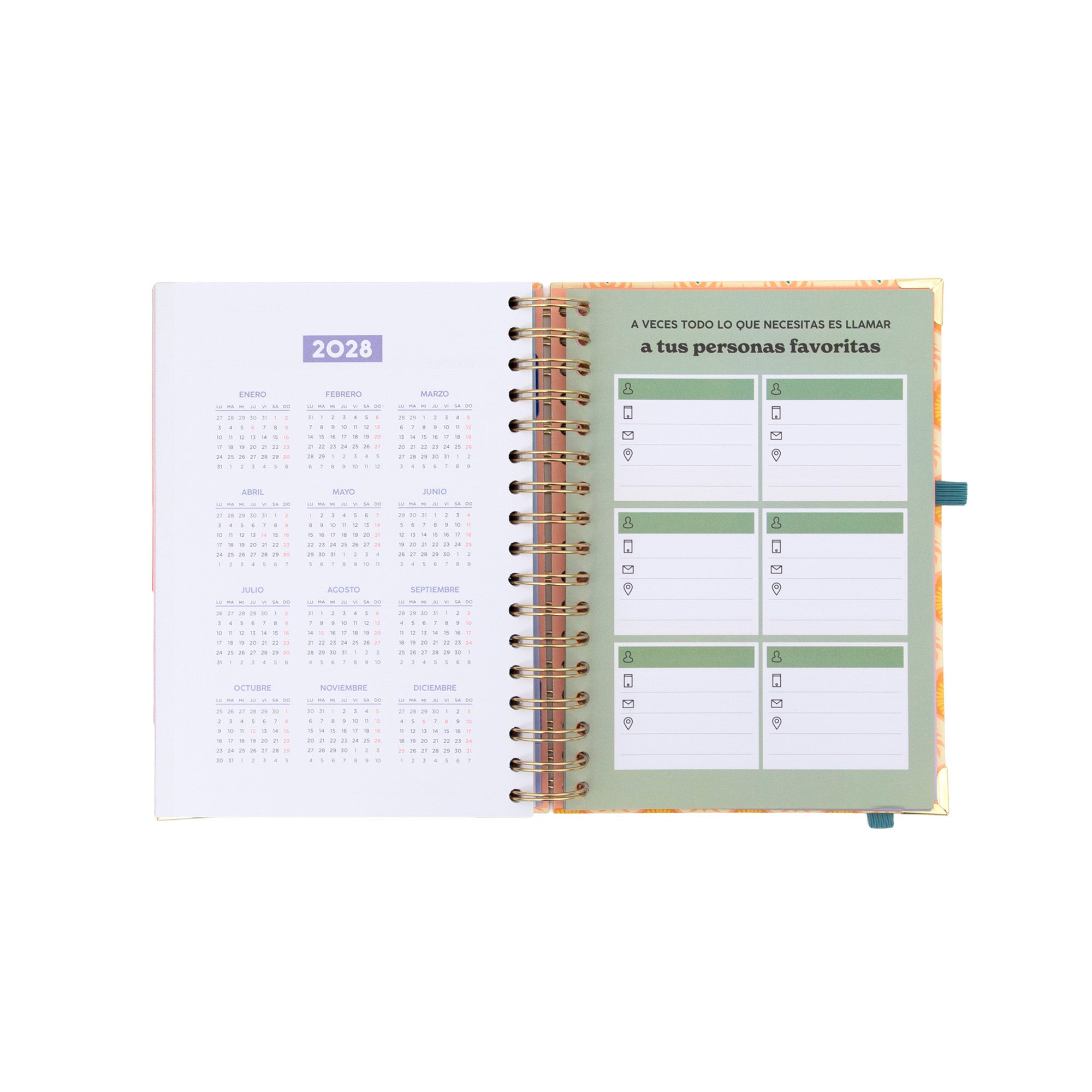 Agenda Mr. Wonderful 2026-27 Diaria - Magia en lo cotidiano