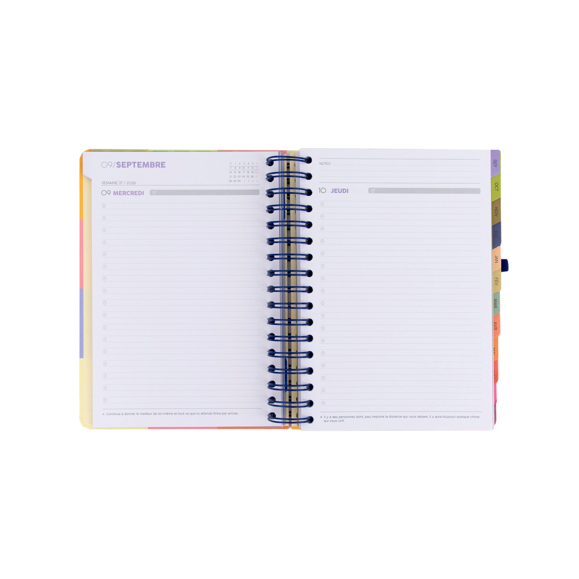 Agenda Mr. Wonderful petit format 2026-27 Journalier - La pause parfaite