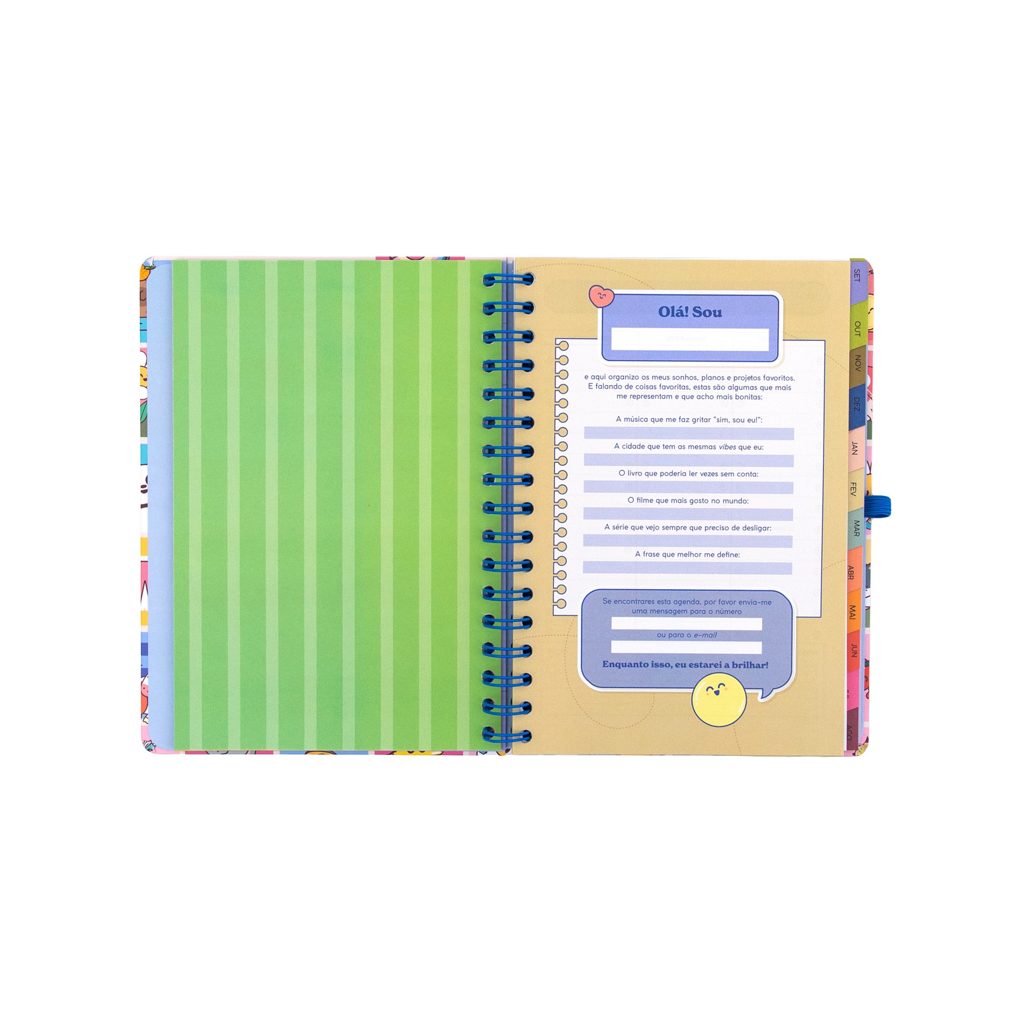 Agenda Mr. Wonderful 2026-27 Semanal - Manual para um ano brilhante