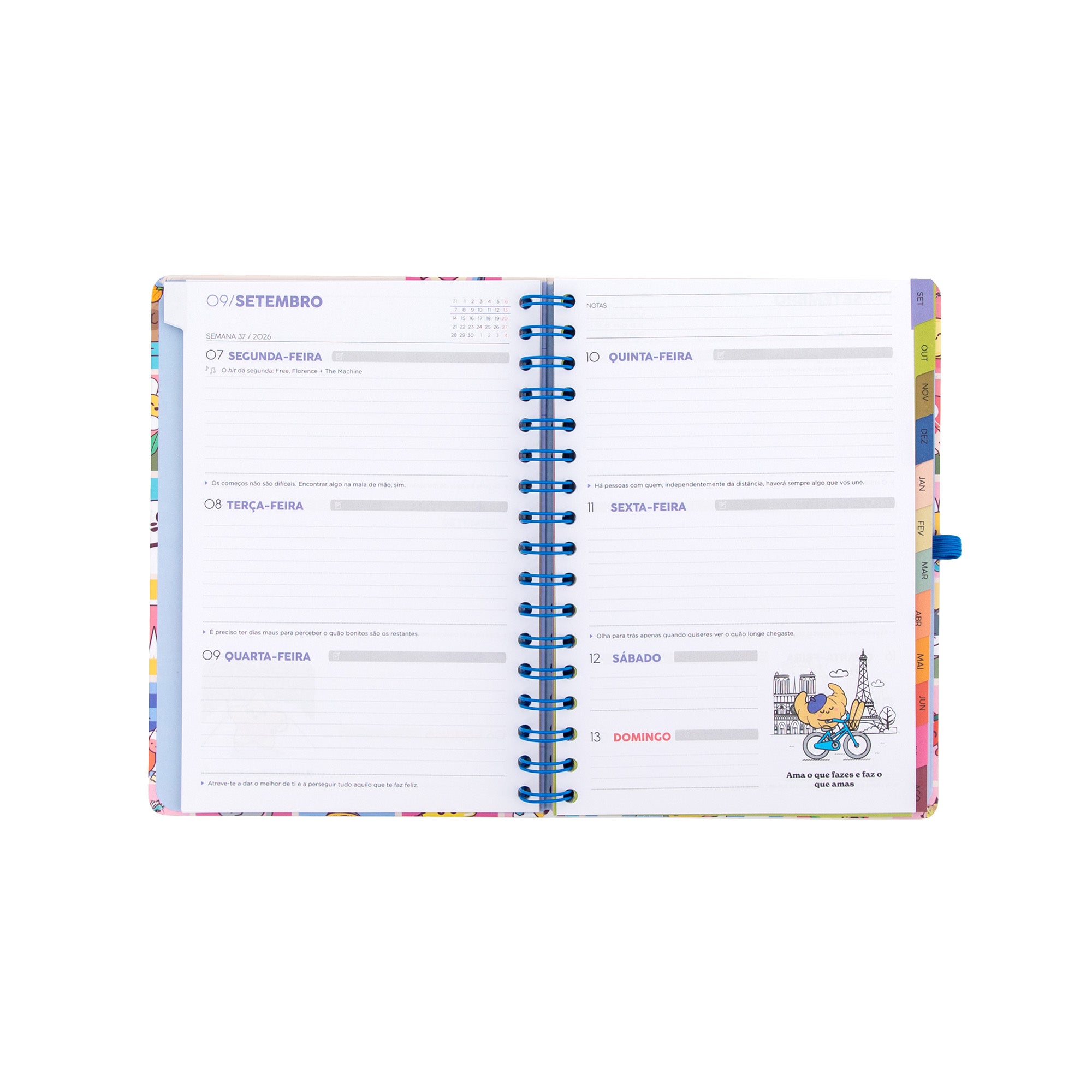 Agenda Mr. Wonderful 2026-27 Semanal - Manual para um ano brilhante