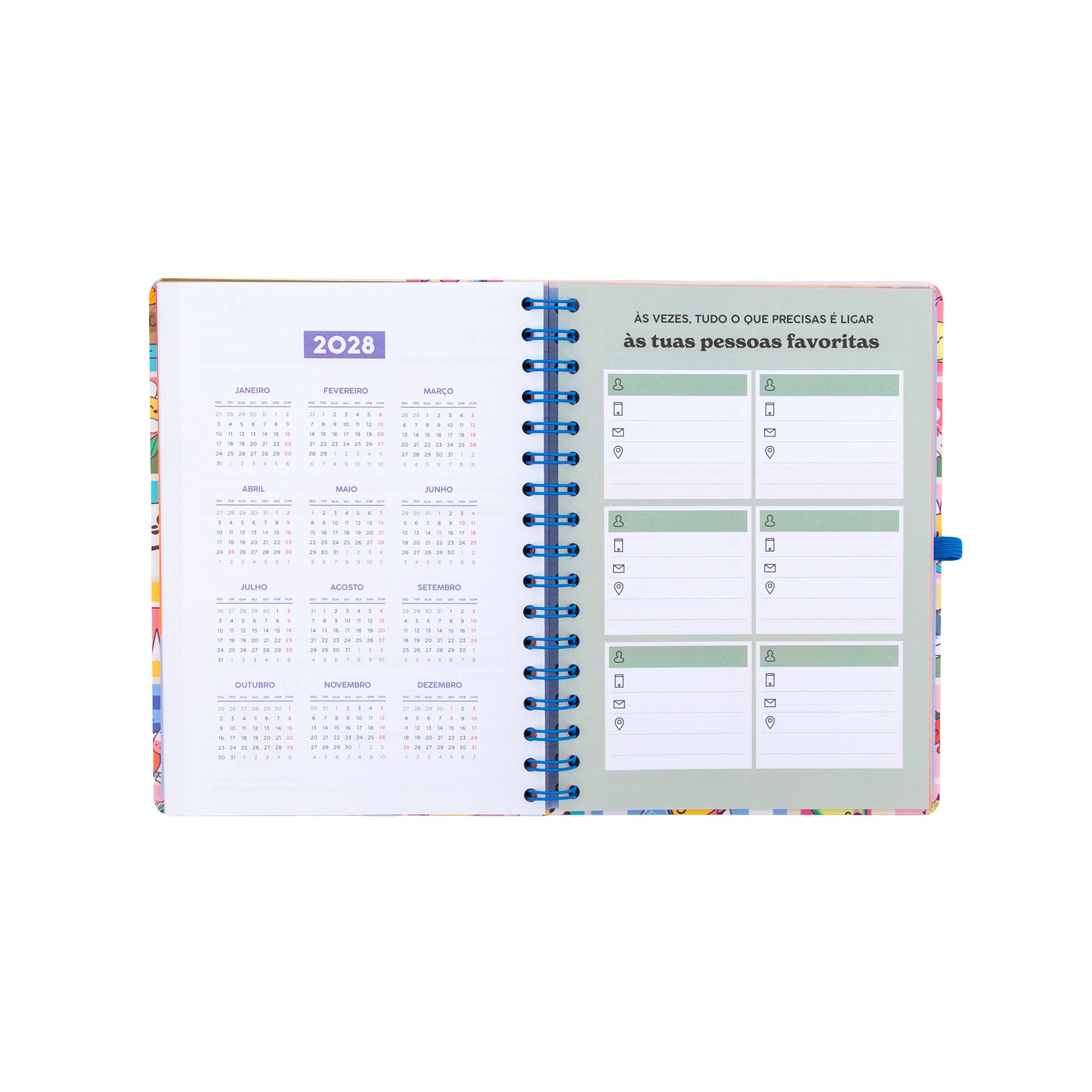Agenda Mr. Wonderful 2026-27 Semanal - Manual para um ano brilhante