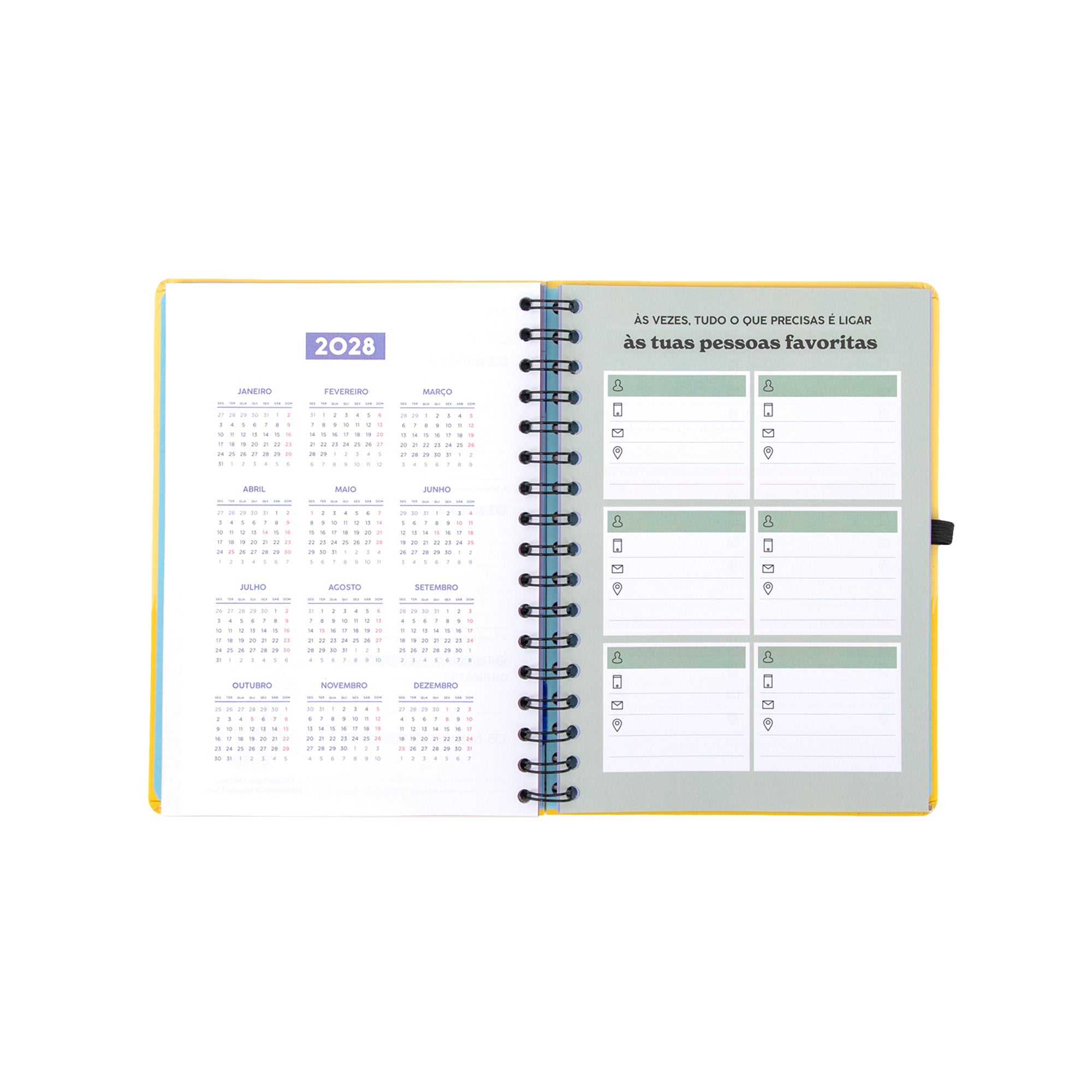 Agenda Mr. Wonderful 2026-27 Semanal - És parecido ao meu crush
