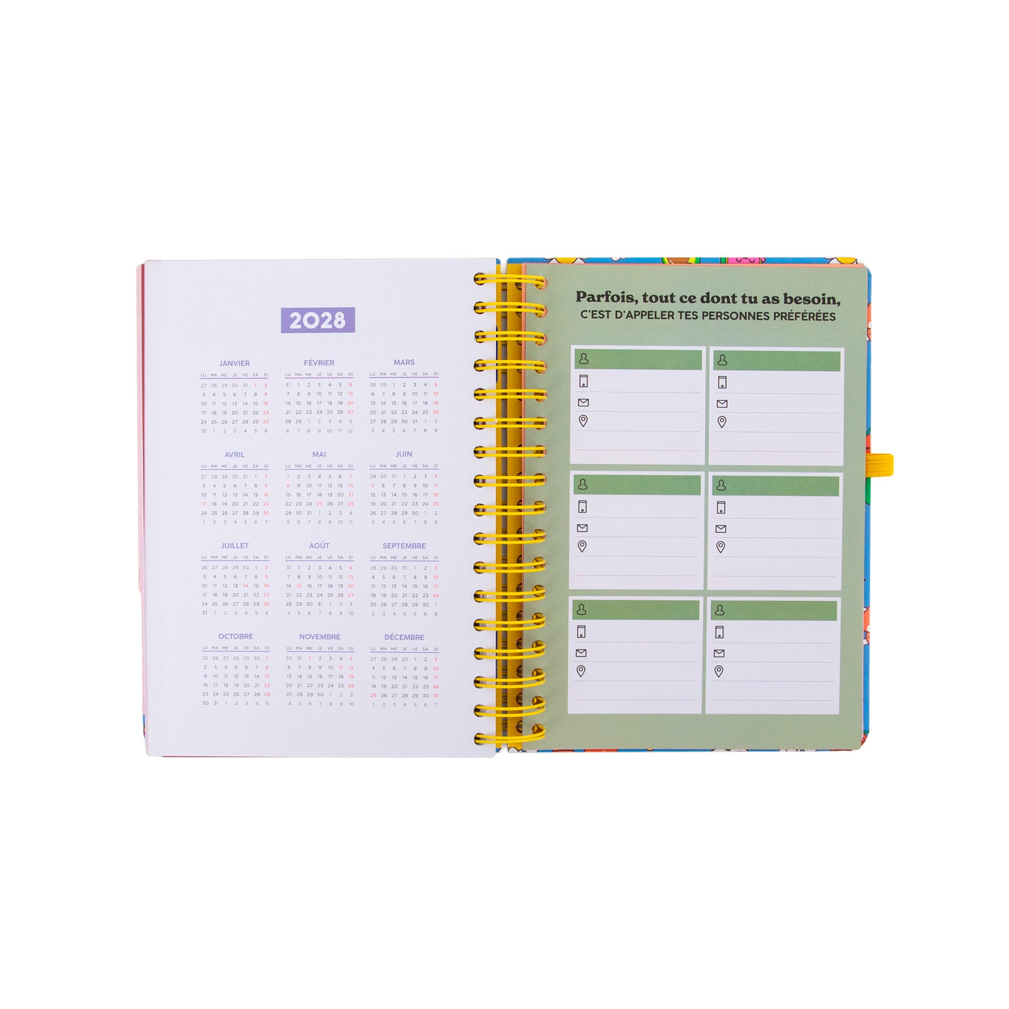 Agenda Mr. Wonderful 2026-27 Journalier - Dans mon monde