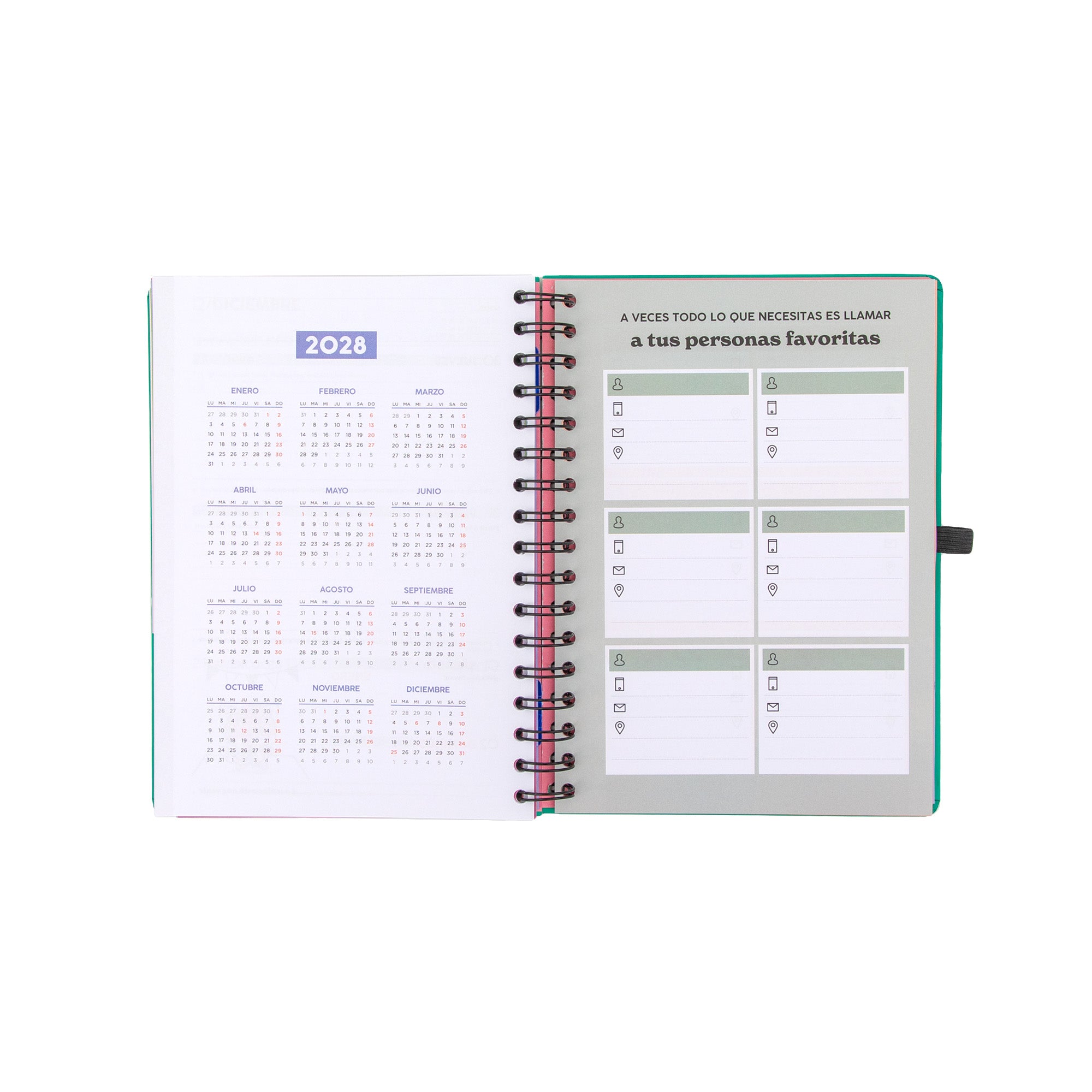 Agenda Mr. Wonderful 2026-27 Semanal 18 meses - Sueña fuerte, vive libre