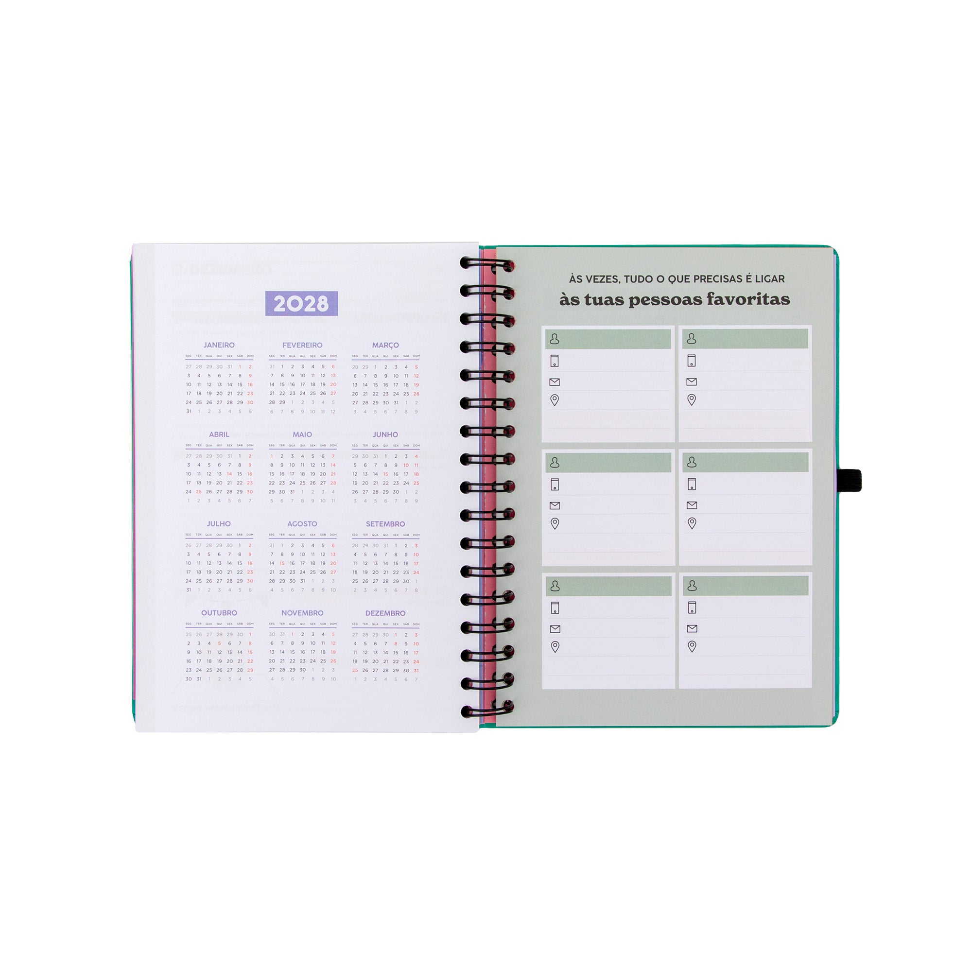 Agenda Mr. Wonderful 2026-27 Semanal 18 meses - Sonha muito, vive livre