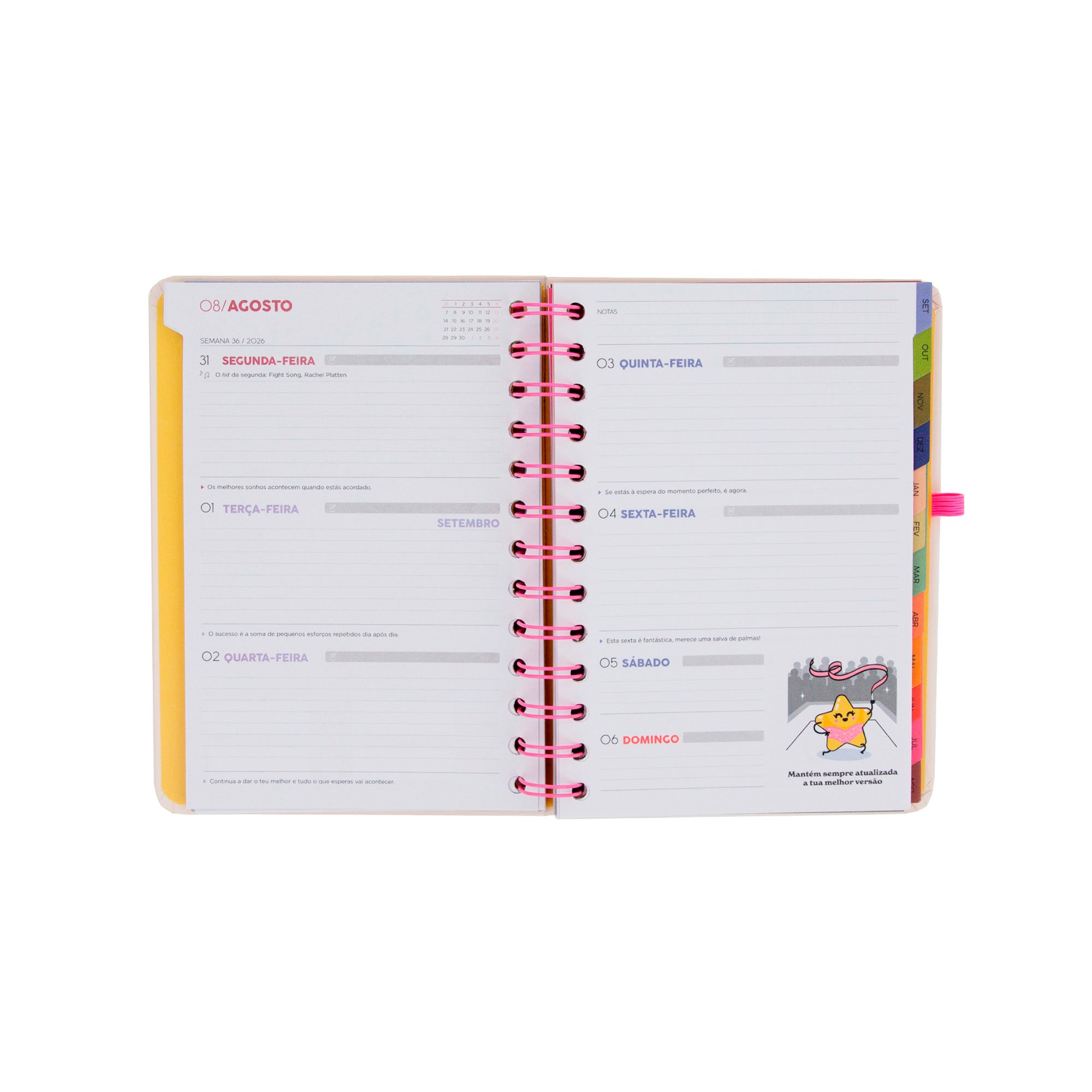 Conjunto agenda Mr. Wonderful pequena 2026-27 Semanal + 3 canetas apagáveis Bo-Bo - Ready