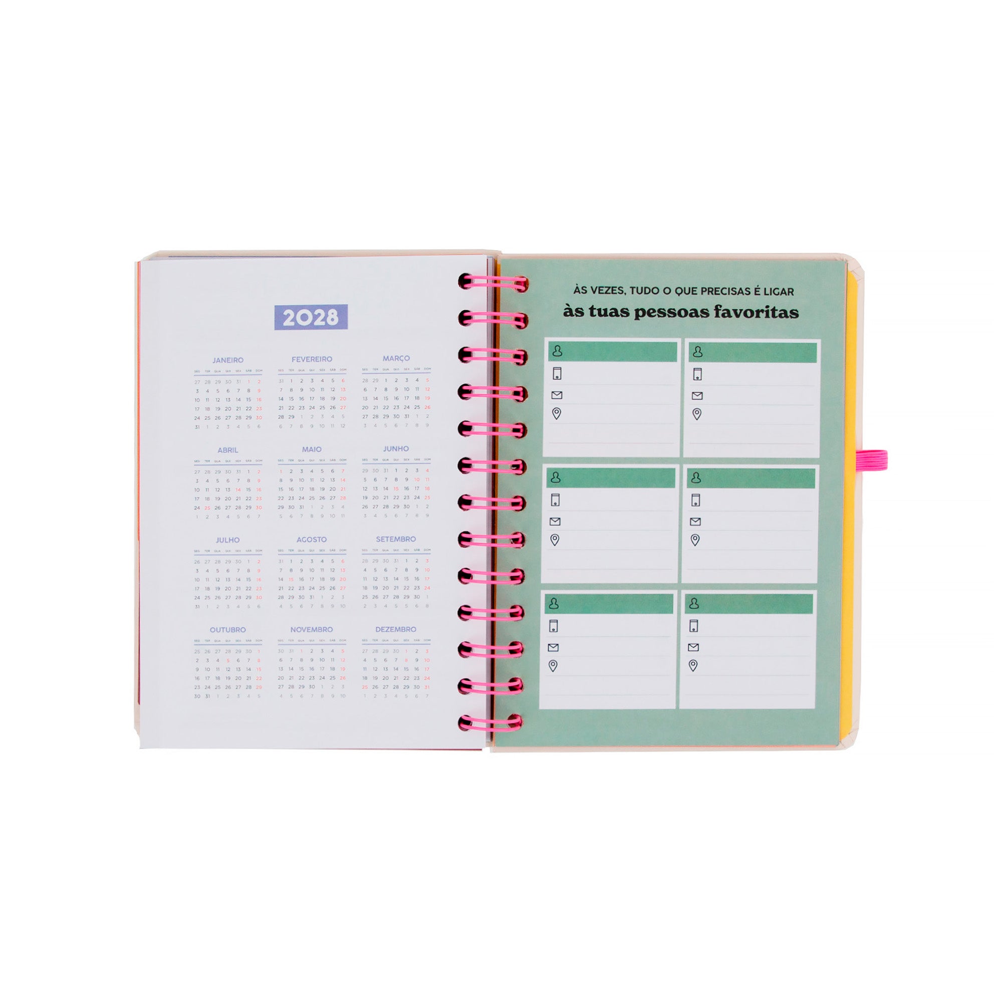 Conjunto agenda Mr. Wonderful pequena 2026-27 Semanal + 3 canetas apagáveis Bo-Bo - Ready