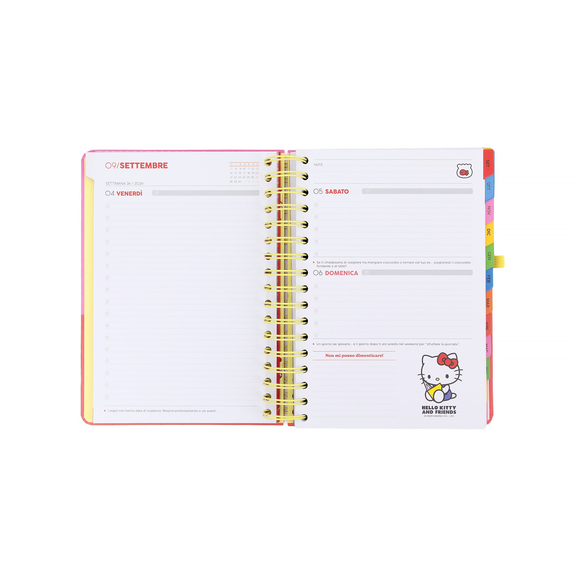 Diario scolastico 2026-27 Hello Kitty&Friends x Mr.Wonderful Giornaliero - Siamo la squadra migliore