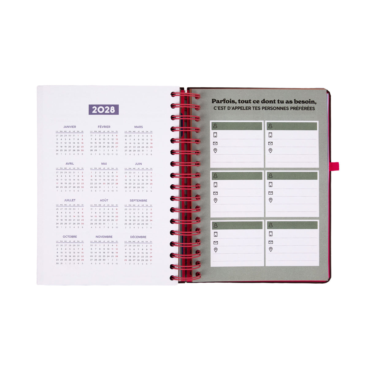 Agenda Journalier 2027 - Full aesthetic