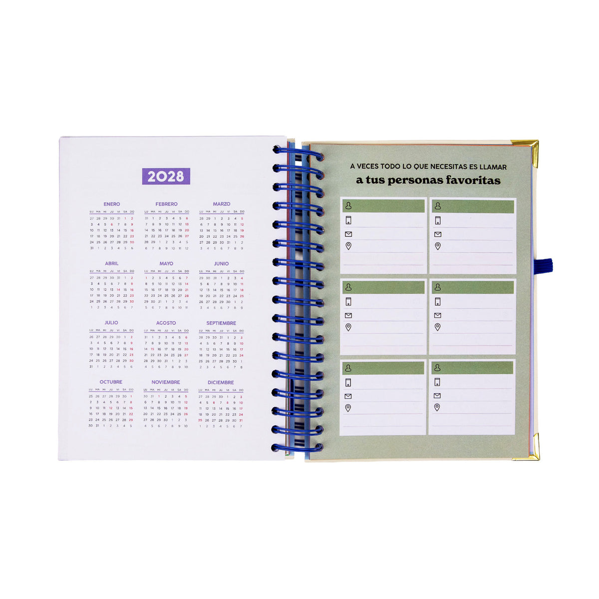 Agenda Diaria 2027 Mr. Wonderful - Lo Pienso, Lo Creo