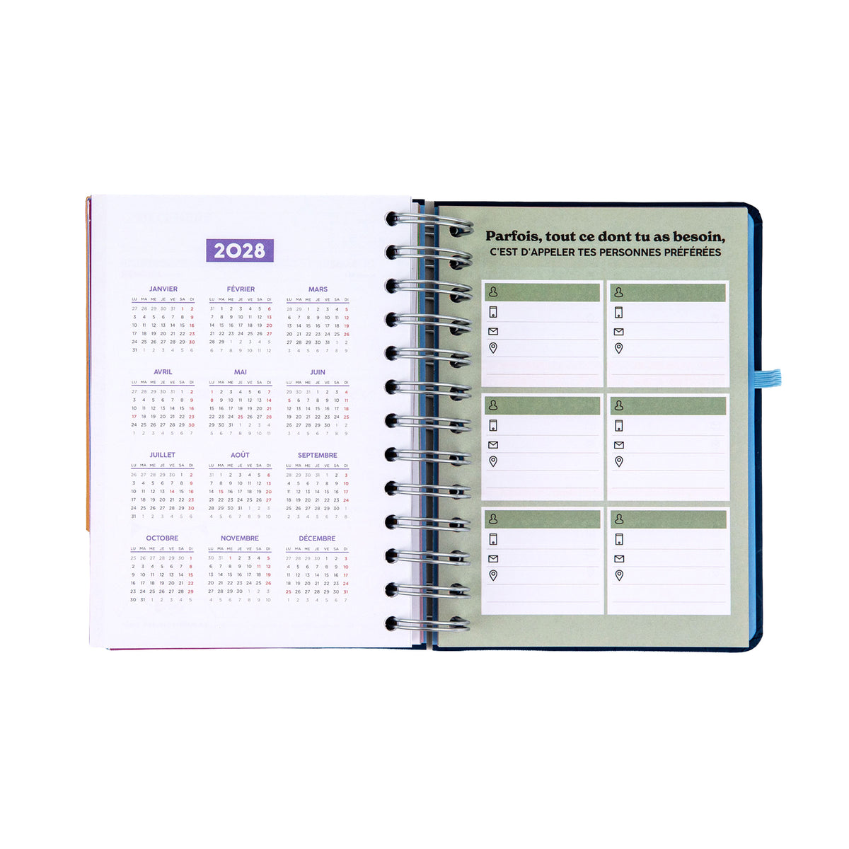 Agenda quotidien 2027 avec intercalaires Mr. Wonderful