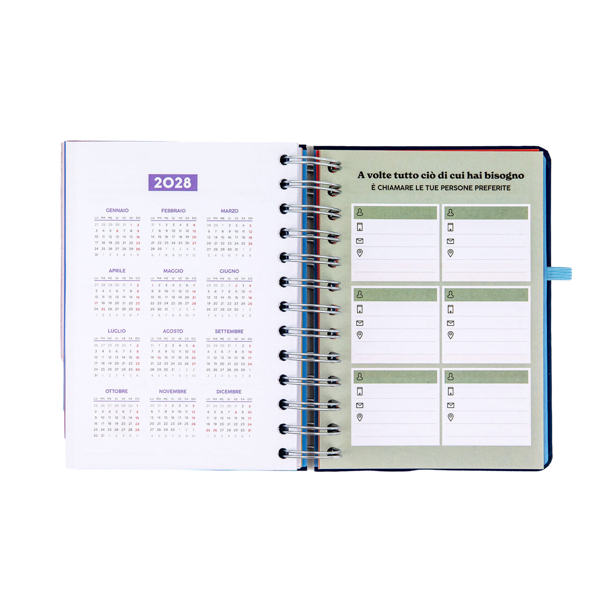 Agenda 2027 con righello interno Mr. Wonderful