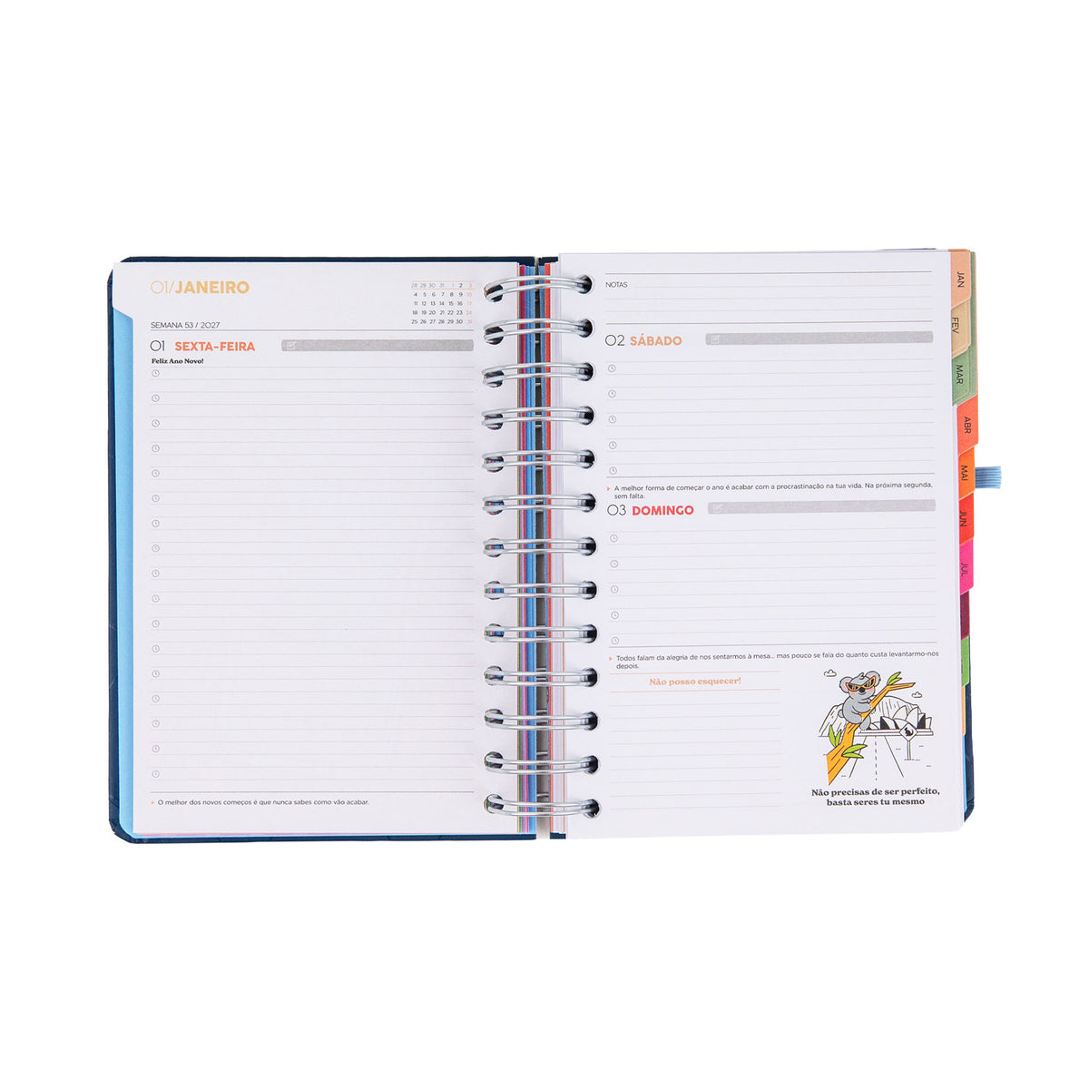 Agenda 2027 com frases divertidas Mr. Wonderful