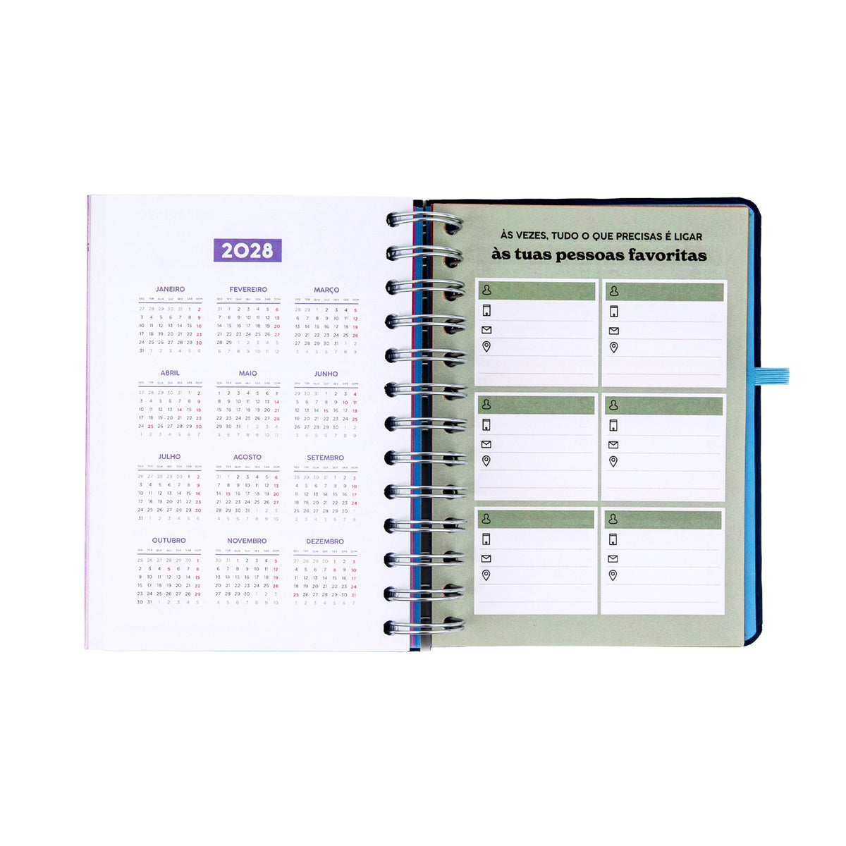 Agenda semanal 2027 com separadores Mr. Wonderful
