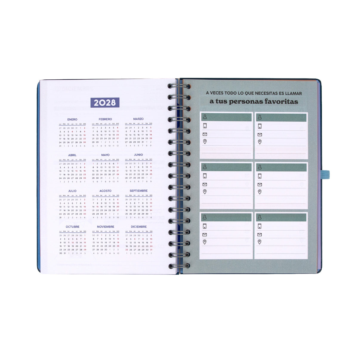 Agenda Semanal 2027 Mr Wonderful - Plan para hoy, historias para mañana