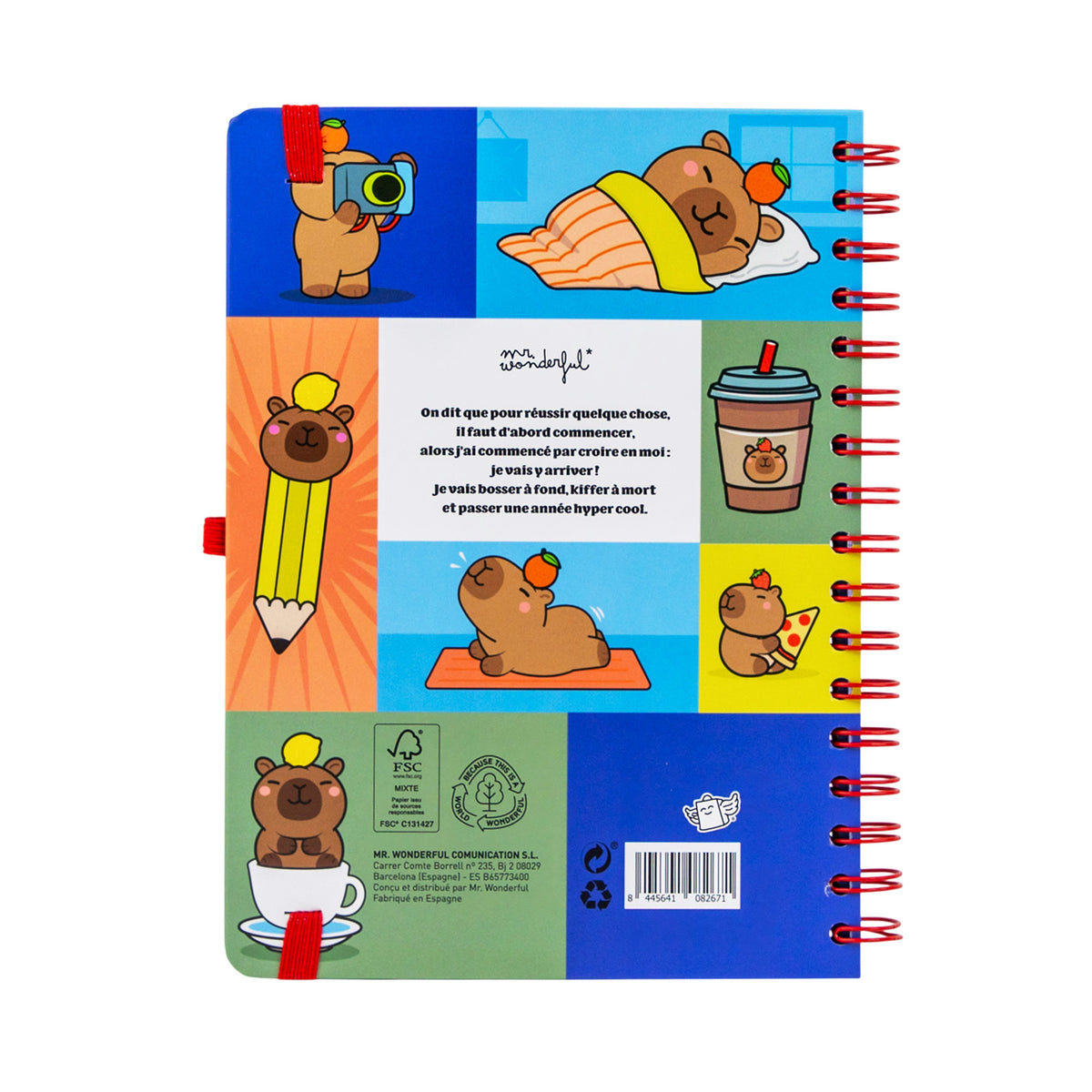 Agenda Dans mon monde Mr. Wonderful 2027