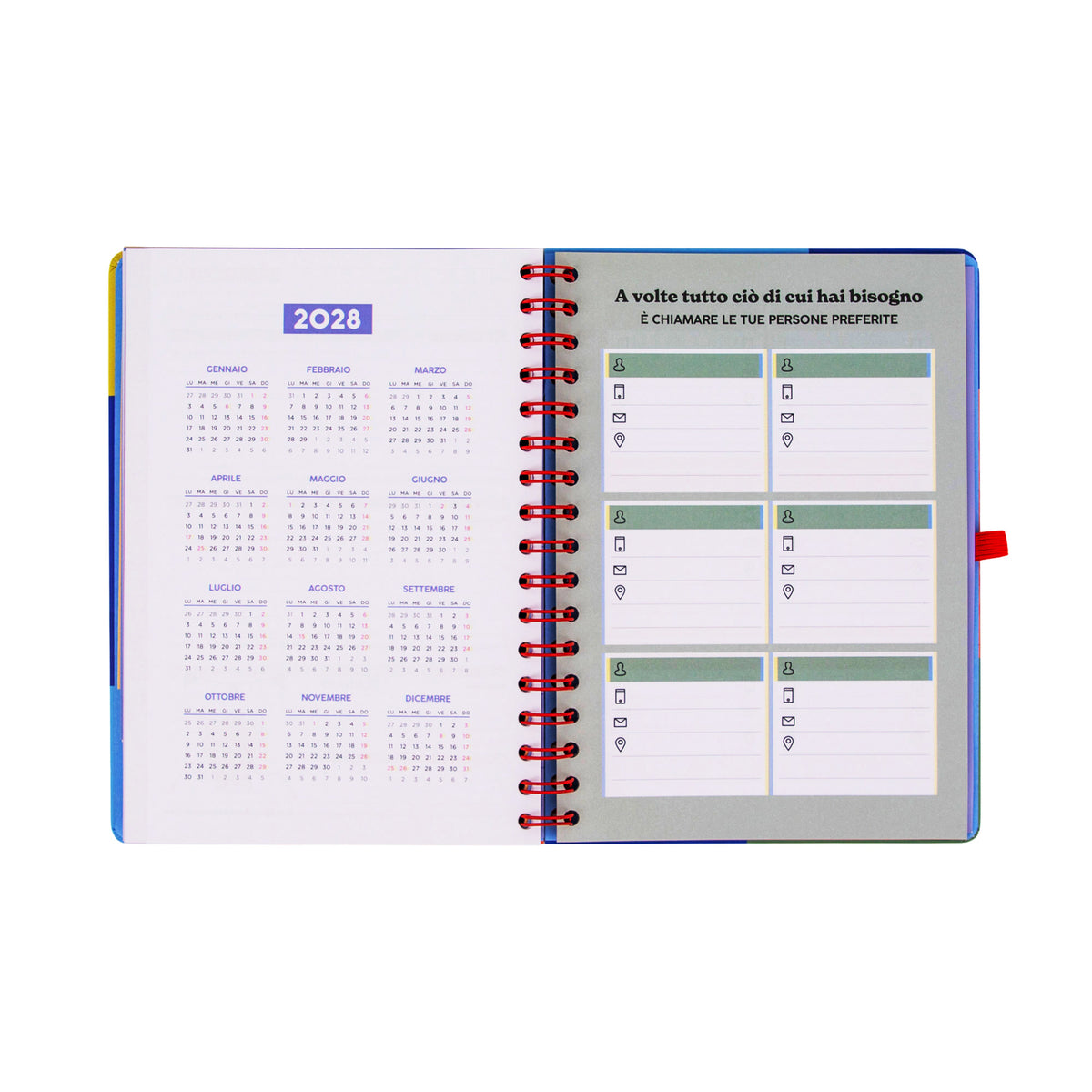 Agenda 2027 con righello interno Mr. Wonderful