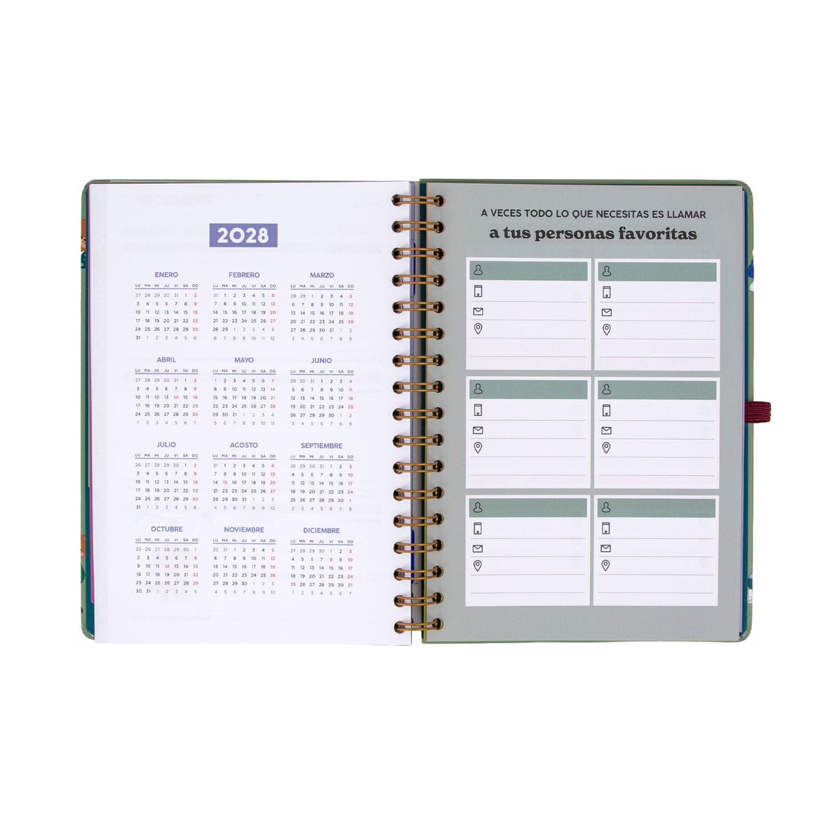 Agenda 2027 con regla interior Mr. Wonderful