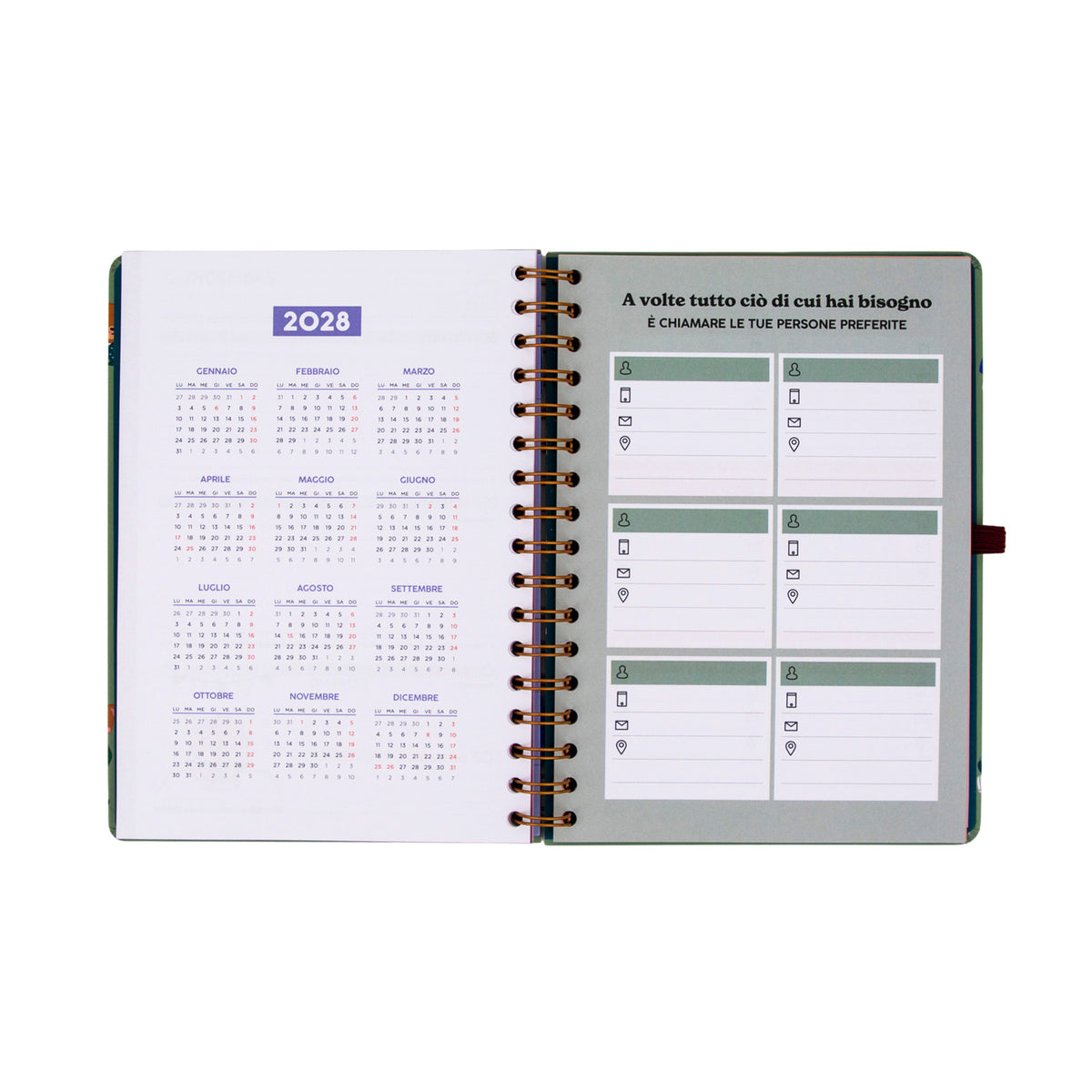 Agenda piccola 2027 con tasca Mr. Wonderful