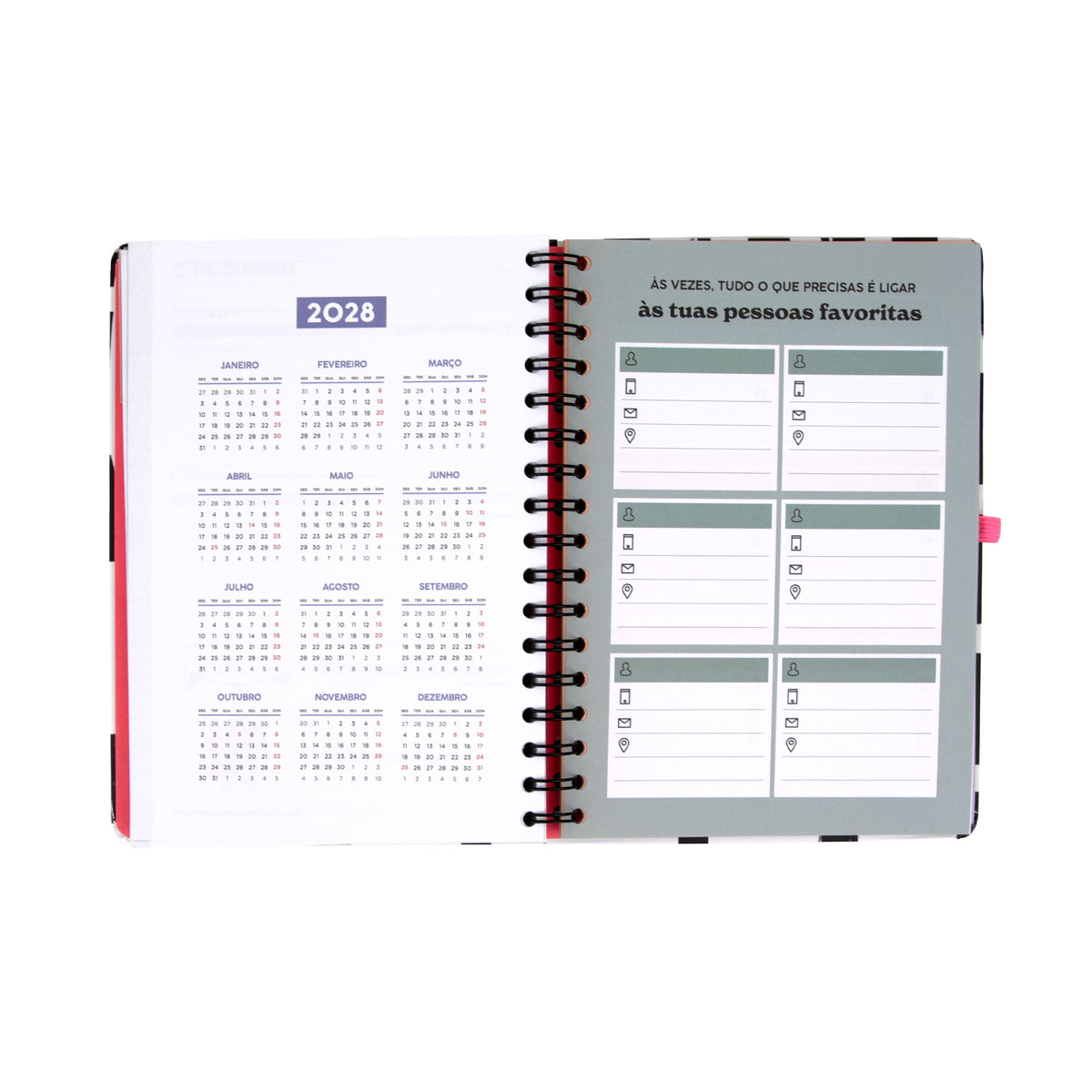 Agenda 2027 con righello interno Mr. Wonderful