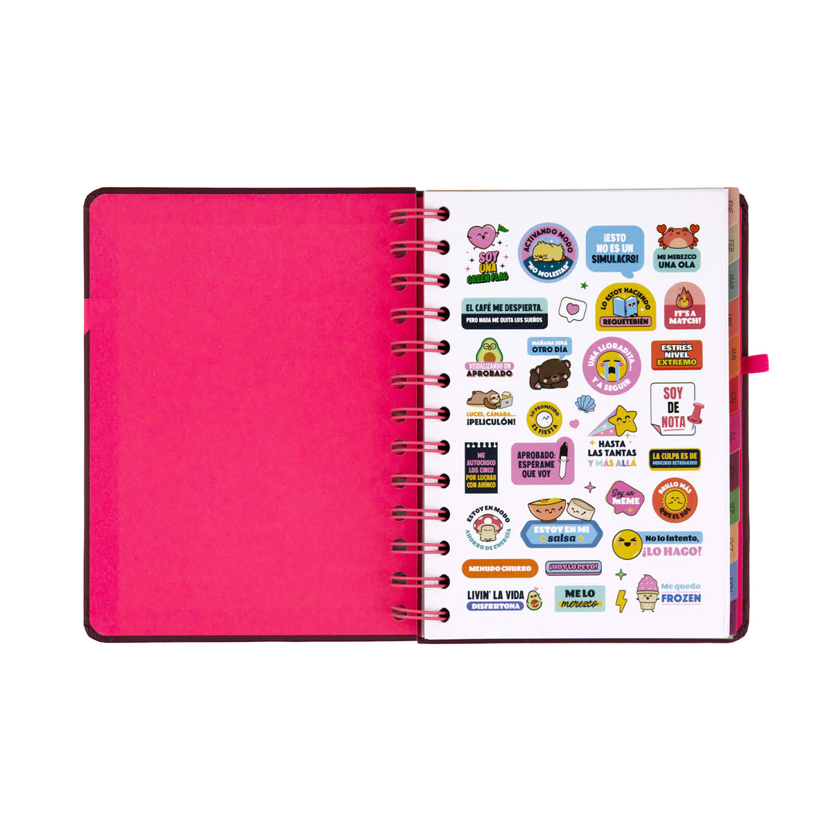 Agenda Full Aesthetic 2027 Mr. Wonderful