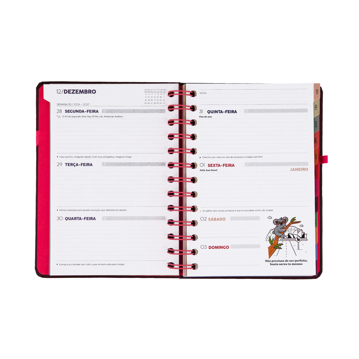 Agenda 2027 com frases divertidas Mr. Wonderful